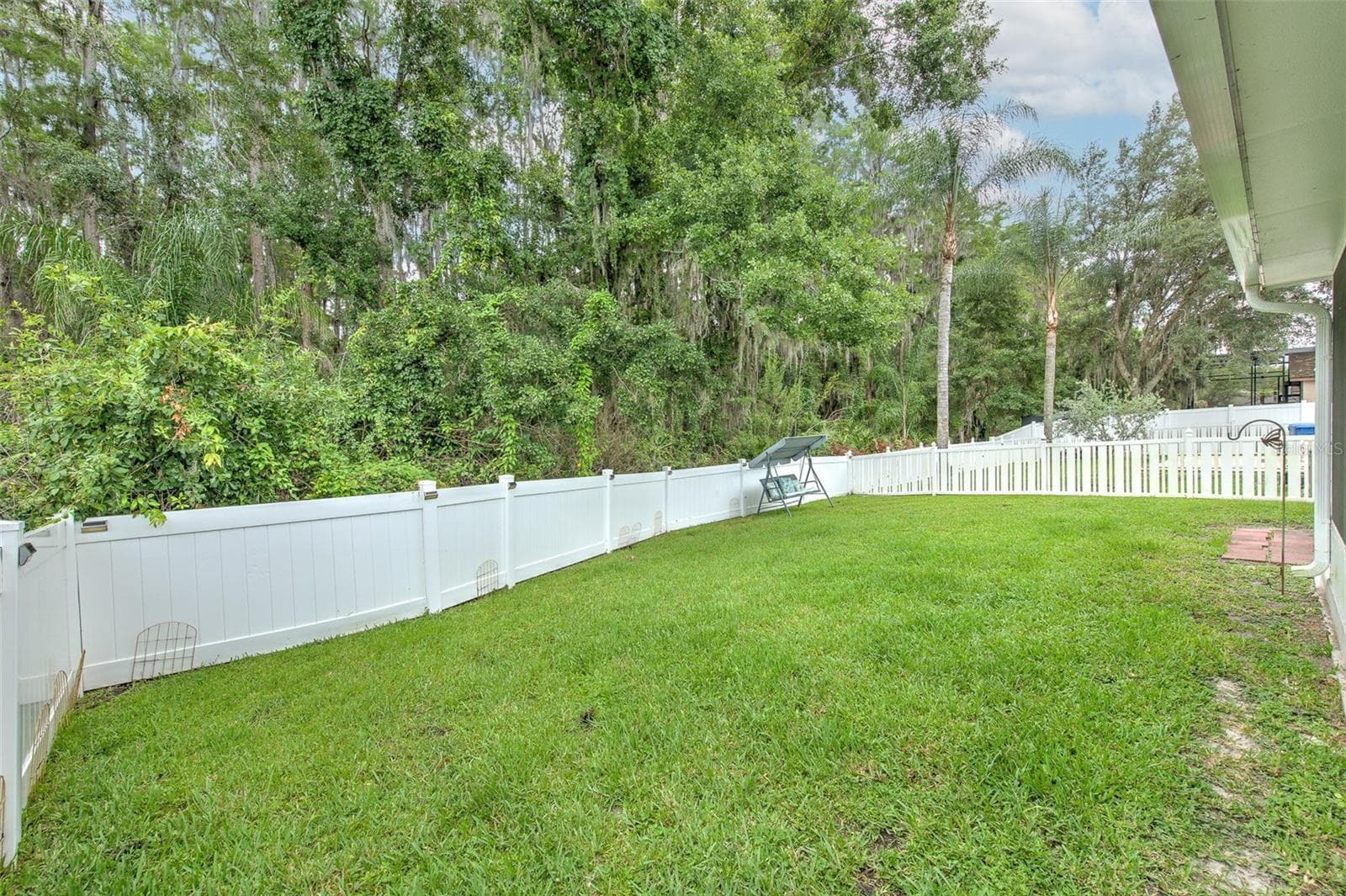 Backyard - 30914 BURLEIGH DR, WESLEY CHAPEL