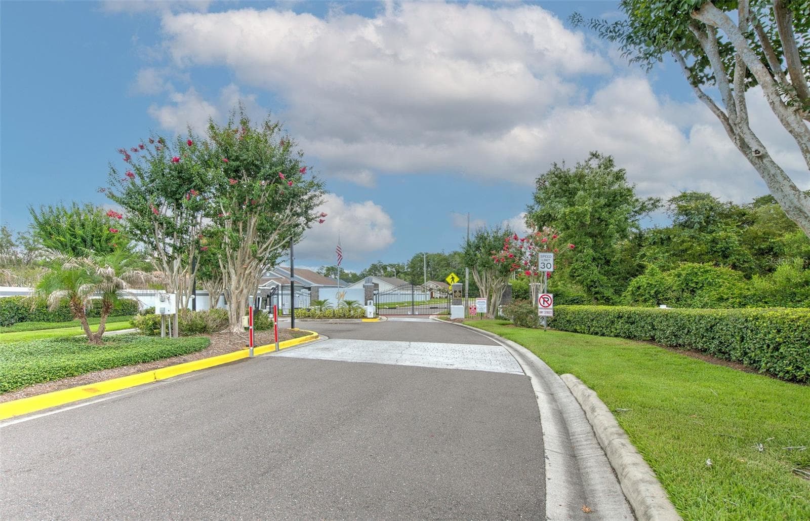 Entrance into gate - 30914 BURLEIGH DR, WESLEY CHAPEL