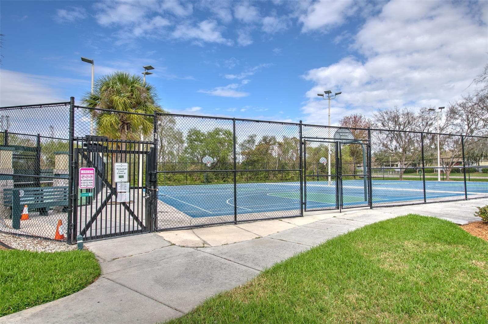 Tennis courts and Pickle ball - 30914 BURLEIGH DR, WESLEY CHAPEL