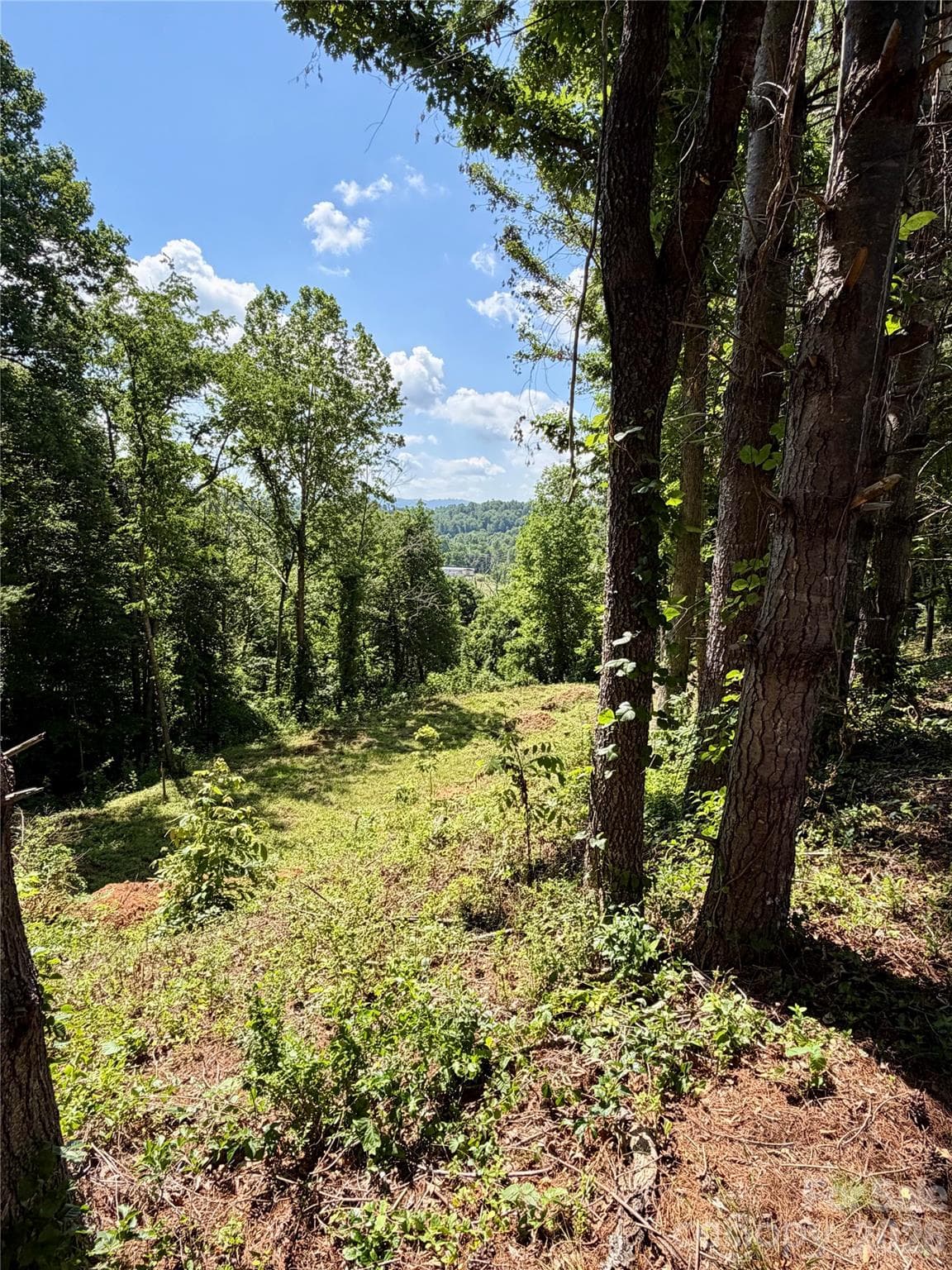 Lot at Weaverville, photo 2 of 5