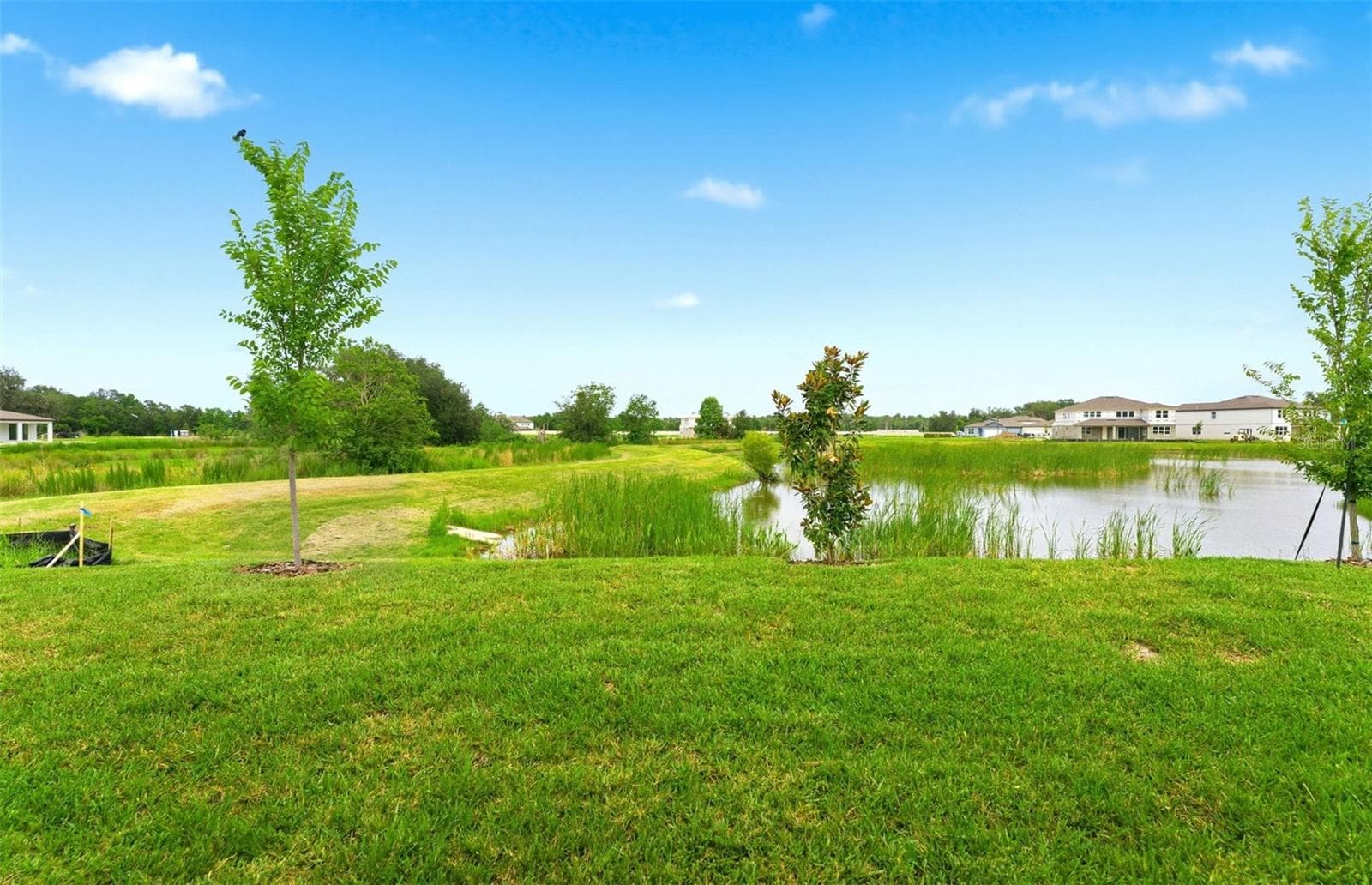 Lakeview Homesite - 37821 CLINCH CIR, ZEPHYRHILLS
