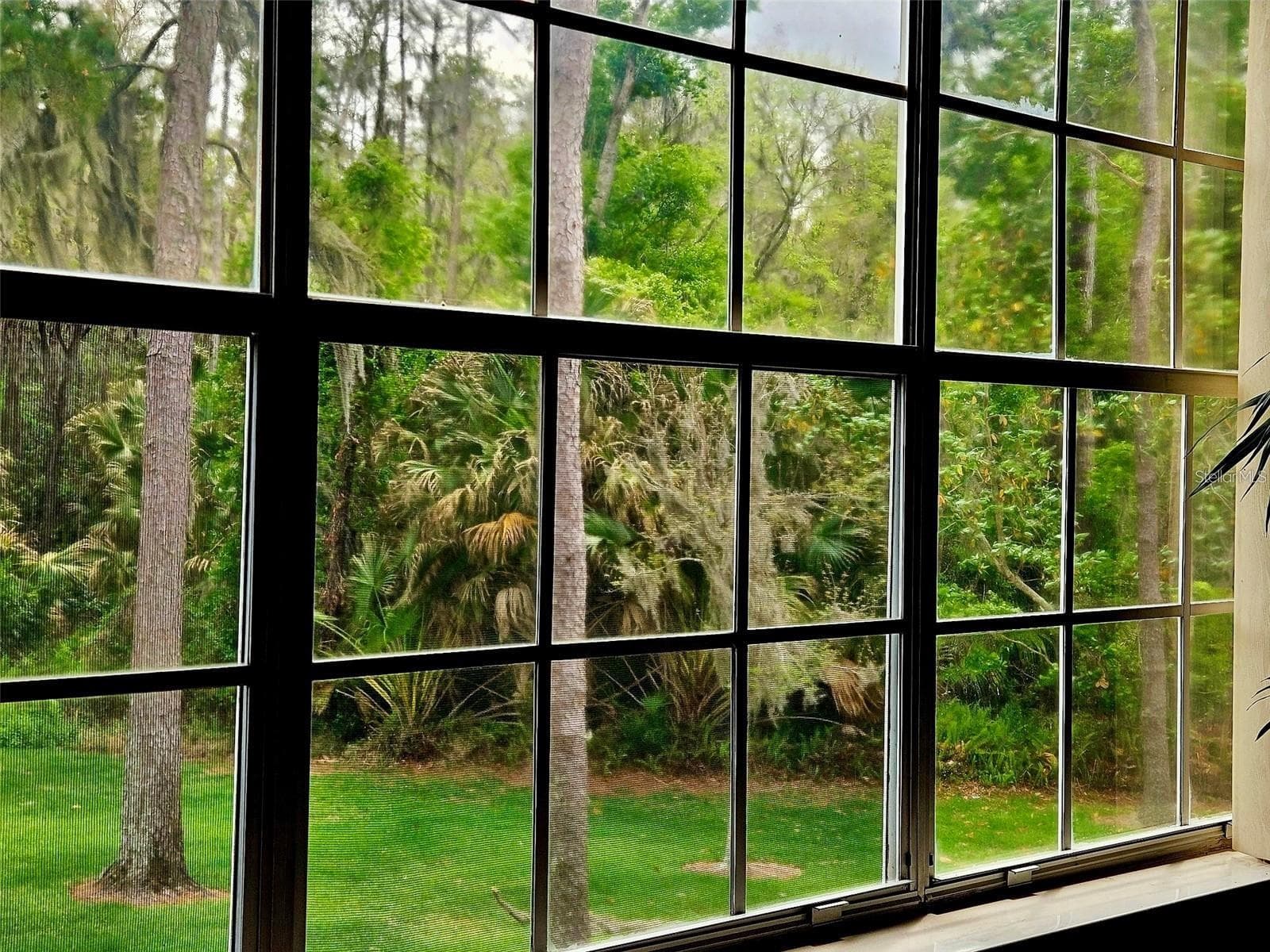 Condominium at 3612 PINE KNOT DR, VALRICO, photo 18 of 39