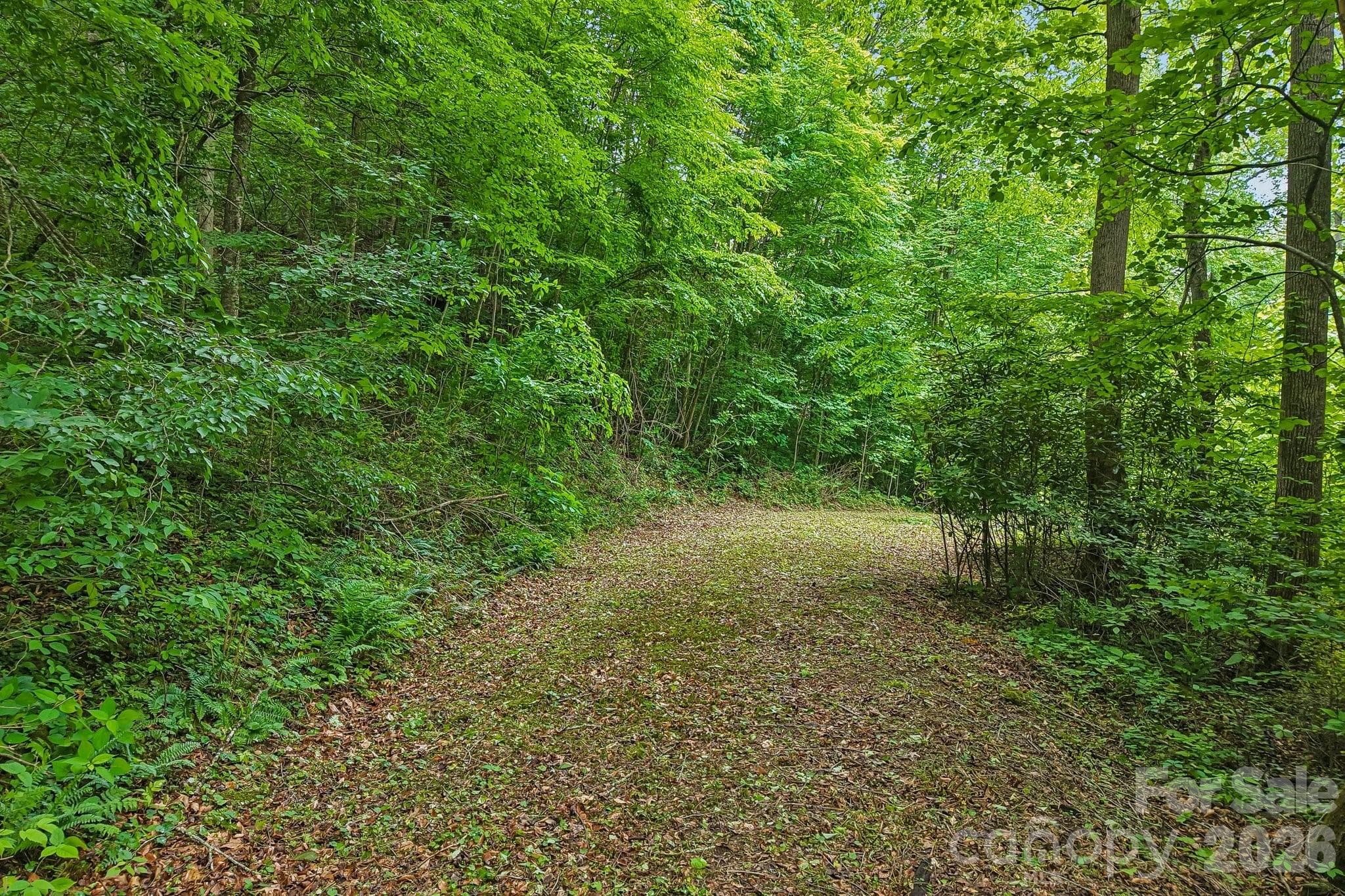Lot at Waynesville, photo 4 of 13