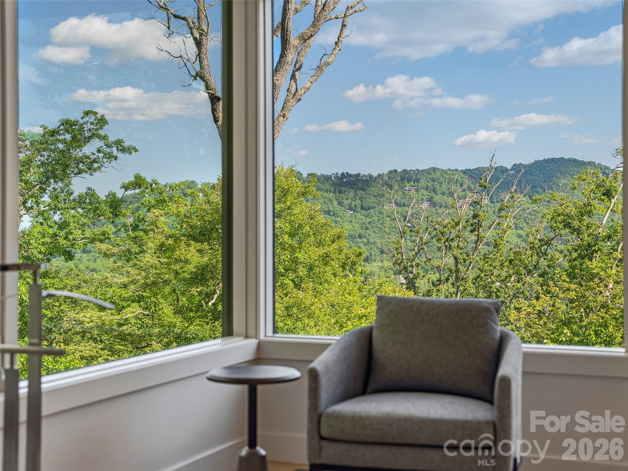 Wake up to panoramic Blue Ridge mountain views - 1121 Timberbluff Way, Arden
