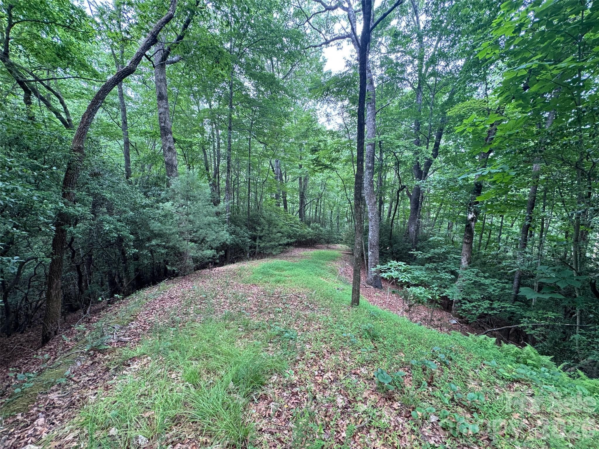 Lot at 000 Chestnut Oak Lane, Pisgah Forest, photo 2 of 29