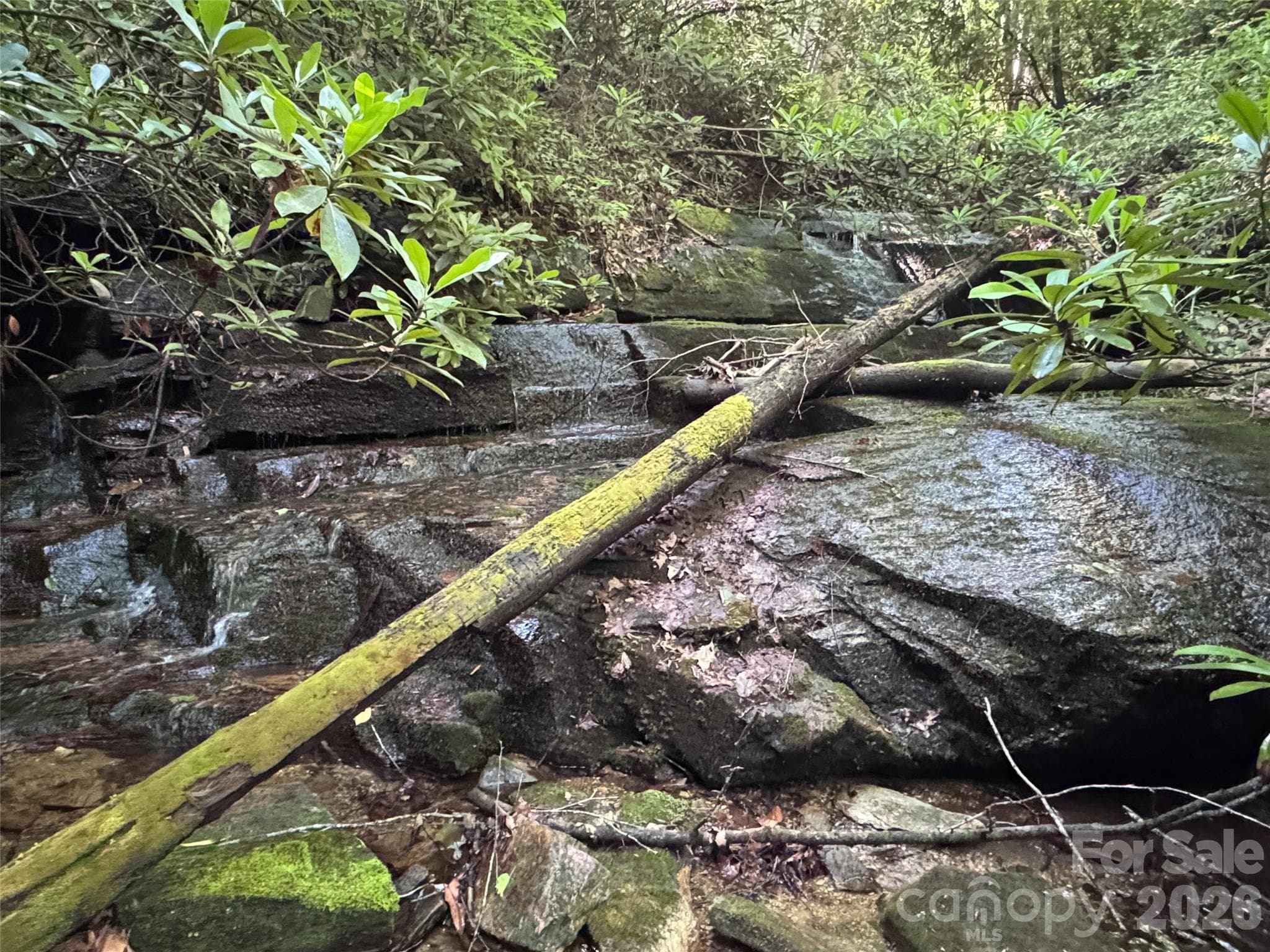 Lot at 000 Chestnut Oak Lane, Pisgah Forest, photo 3 of 29