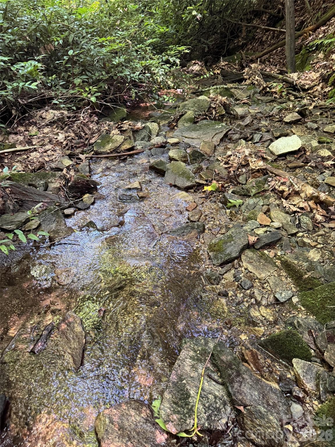Lot at 000 Chestnut Oak Lane, Pisgah Forest, photo 6 of 29