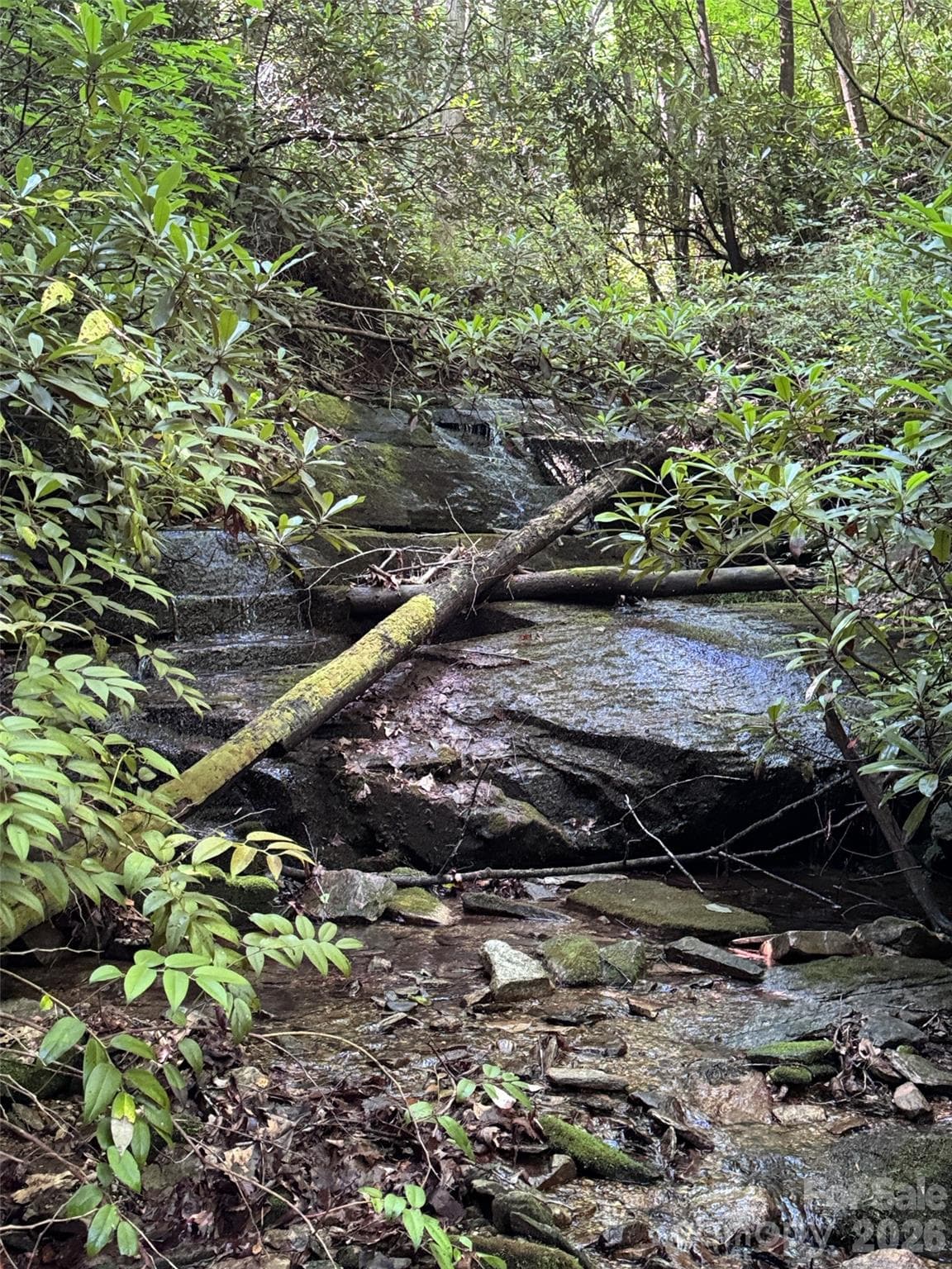 Lot at 000 Chestnut Oak Lane, Pisgah Forest, photo 11 of 29