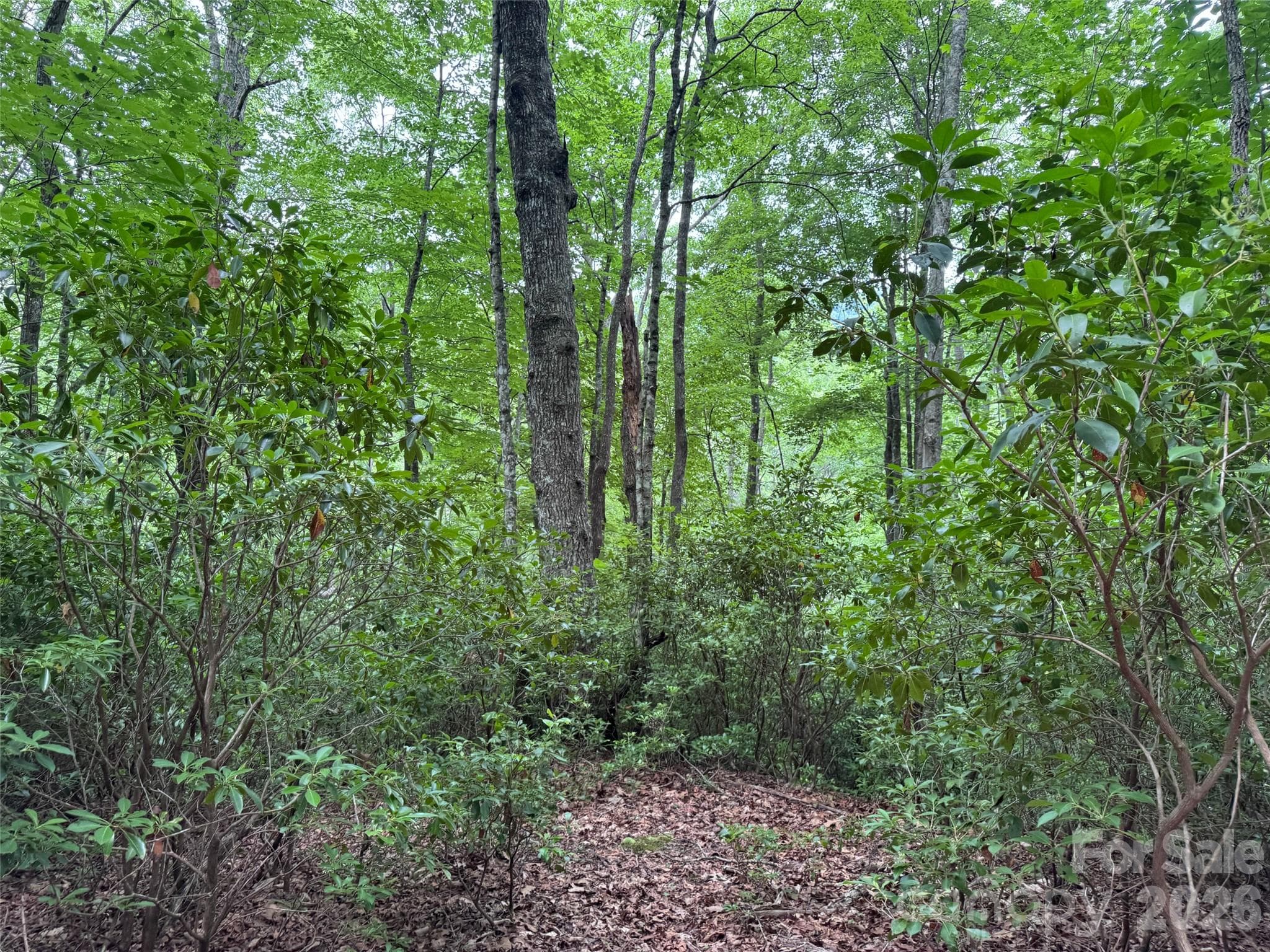 Lot at 000 Chestnut Oak Lane, Pisgah Forest, photo 16 of 29