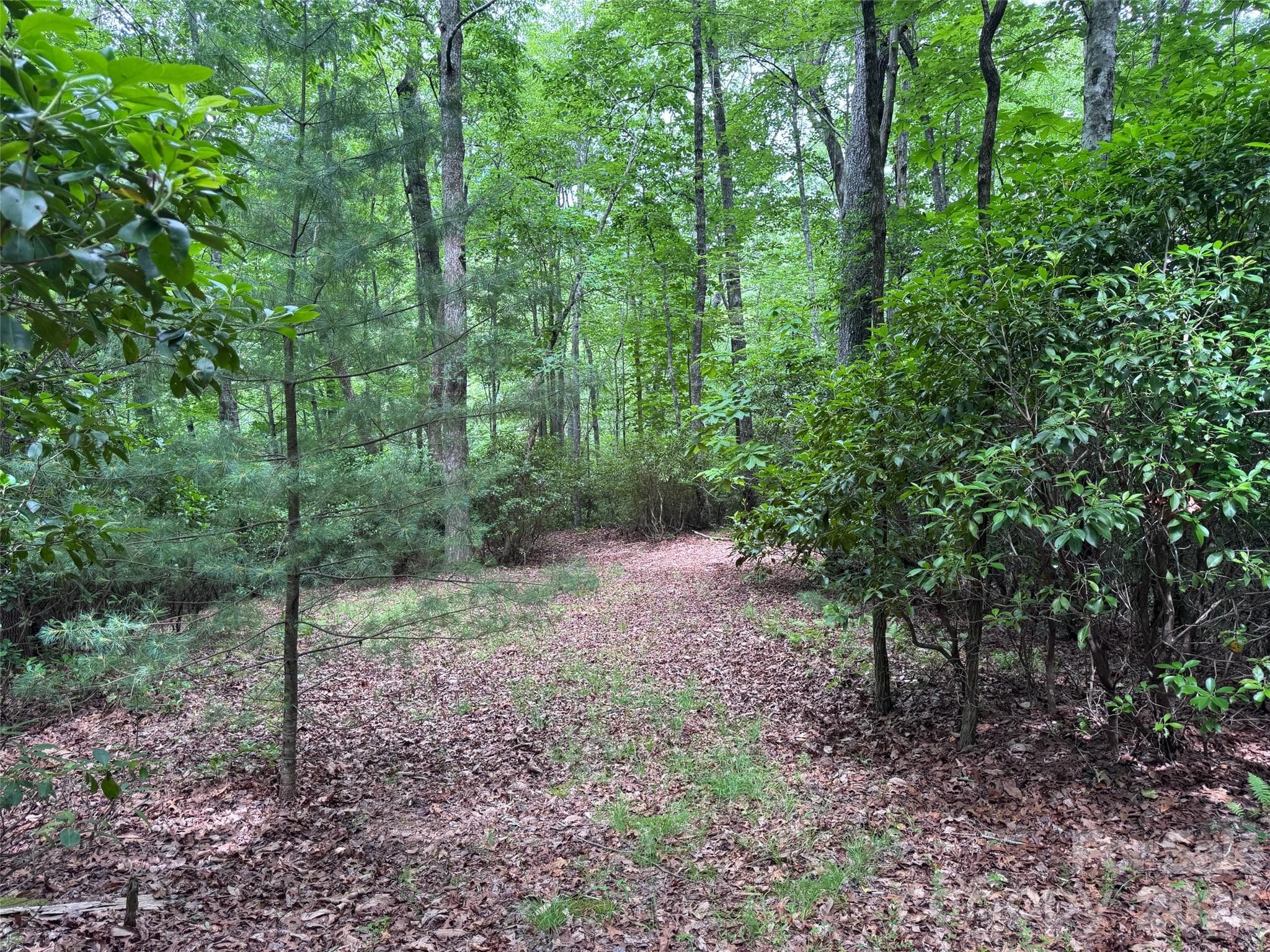 Lot at 000 Chestnut Oak Lane, Pisgah Forest, photo 18 of 29
