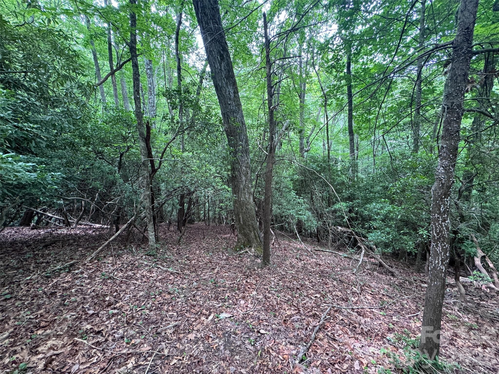 Lot at 000 Chestnut Oak Lane, Pisgah Forest, photo 19 of 29
