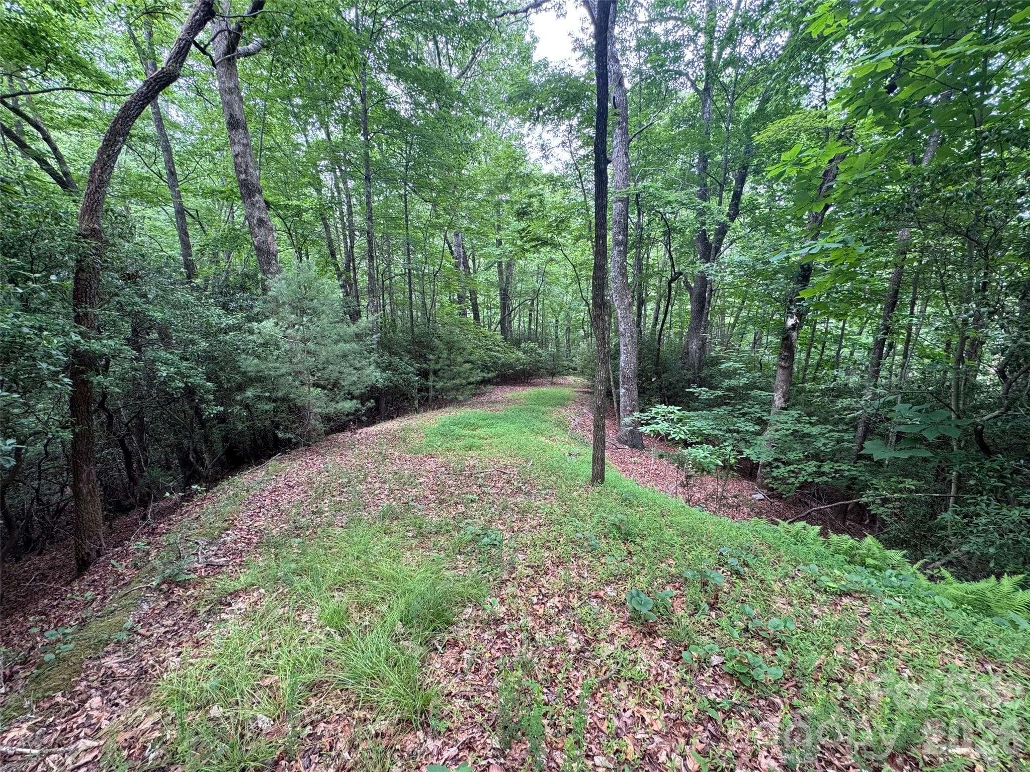 Lot at 000 Chestnut Oak Lane, Pisgah Forest, photo 21 of 29