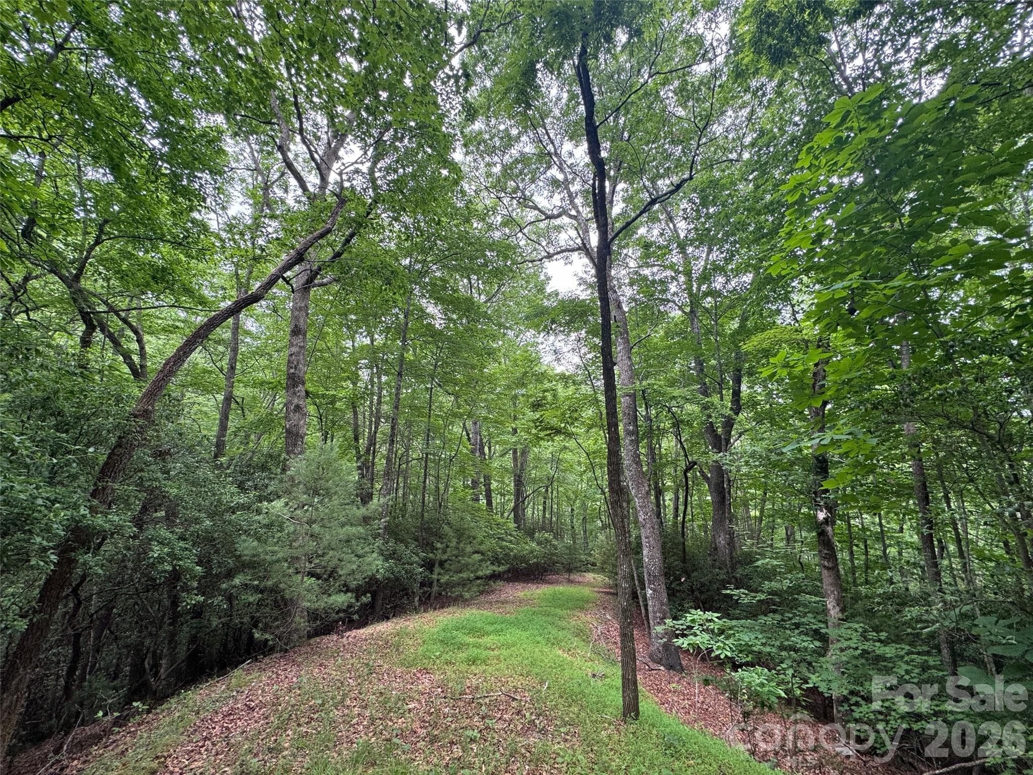 Lot at 000 Chestnut Oak Lane, Pisgah Forest, photo 22 of 29