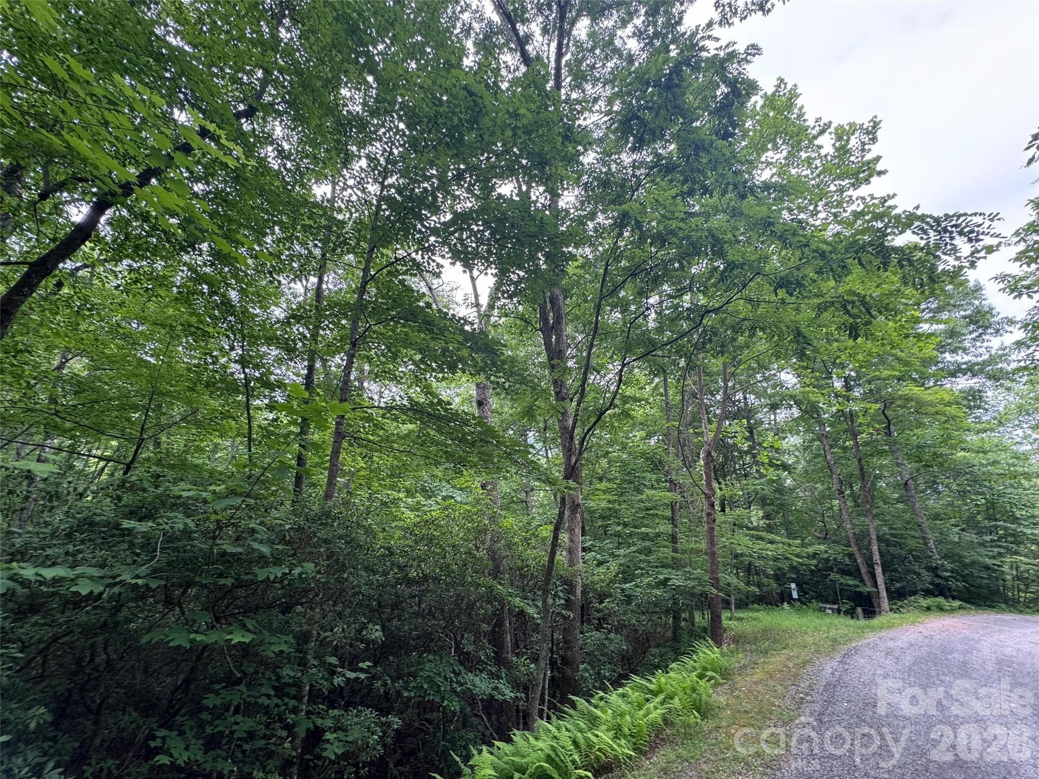 Lot at 000 Chestnut Oak Lane, Pisgah Forest, photo 25 of 29