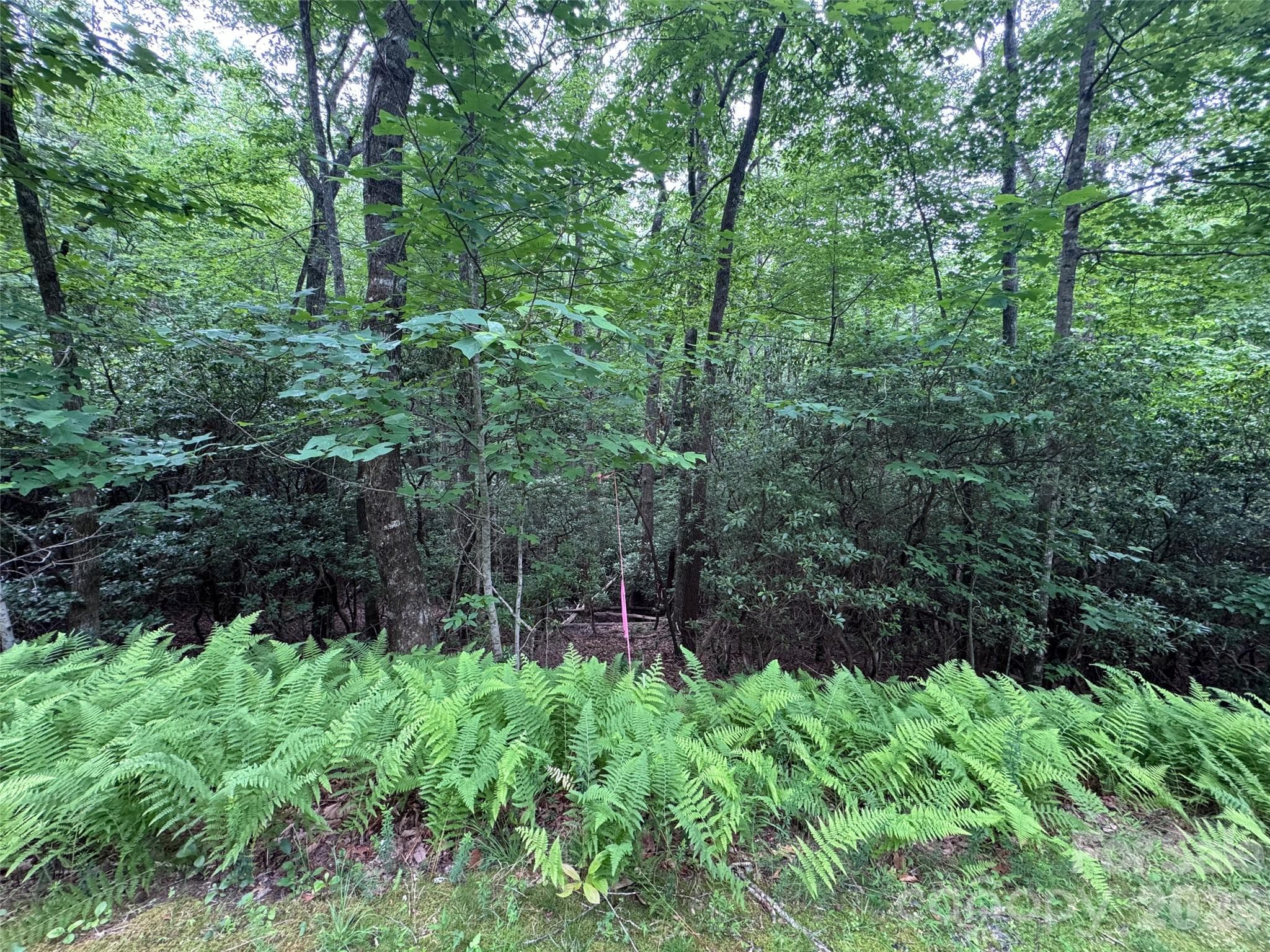 Lot at 000 Chestnut Oak Lane, Pisgah Forest, photo 26 of 29