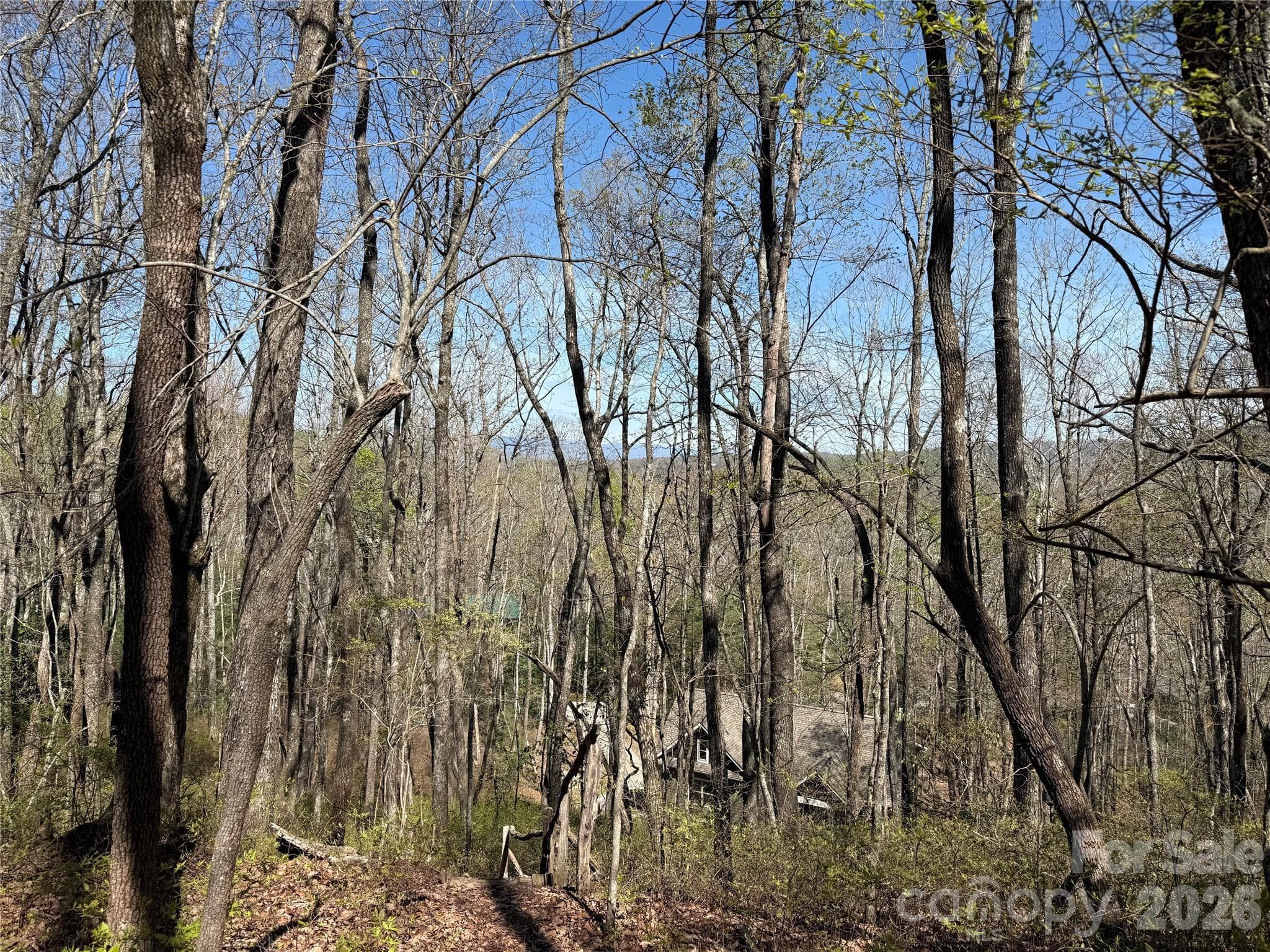 Lot at TBD White Oak Terrace, Brevard, photo 5 of 31