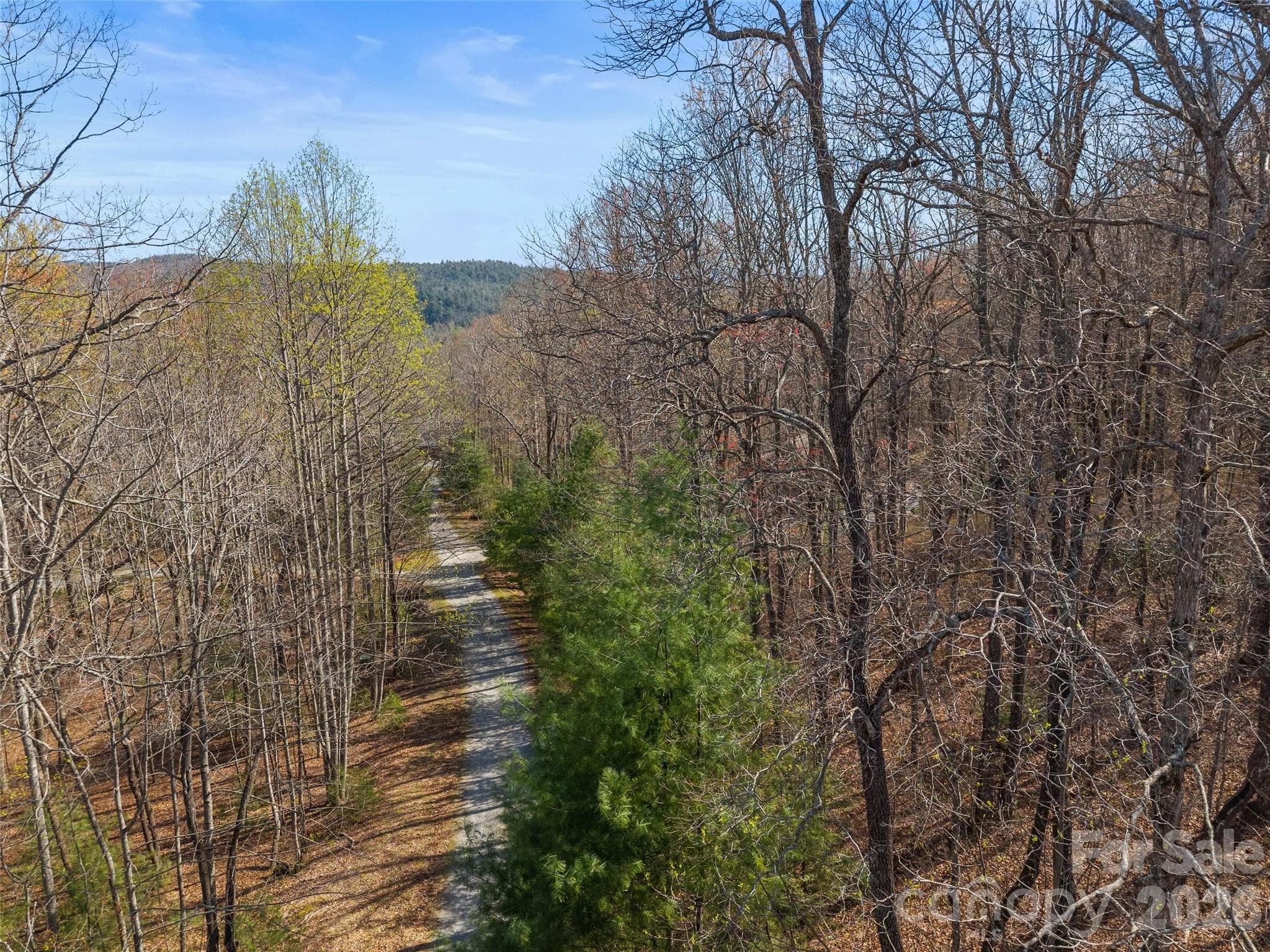 Lot at TBD White Oak Terrace, Brevard, photo 8 of 31