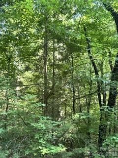 Hardwoods - Sharon