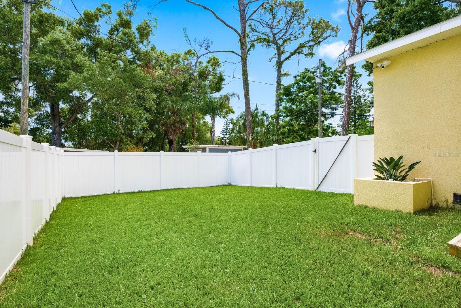 Backyard - 4920 3RD ST N, ST PETERSBURG