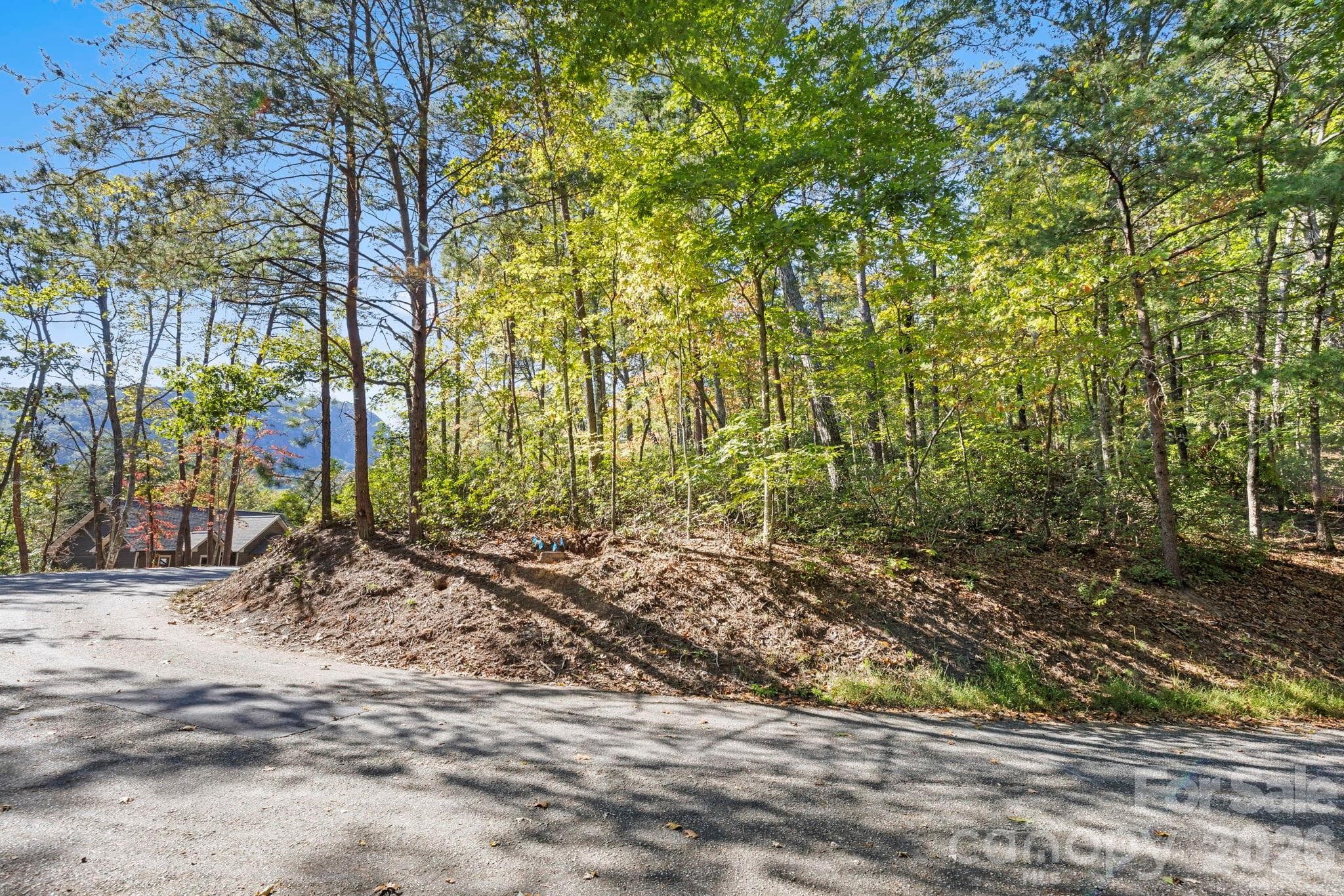 View of Rumbling Bald Mountain right around the corner - Lake Lure