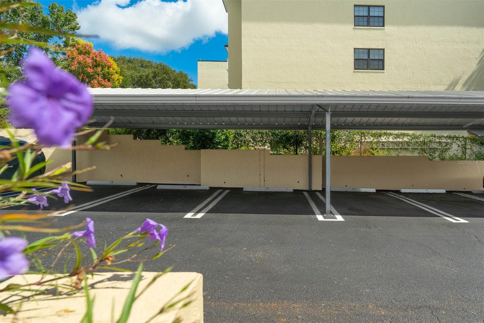 Covered Parking Available - 110 N TREMAIN ST #209, MOUNT DORA