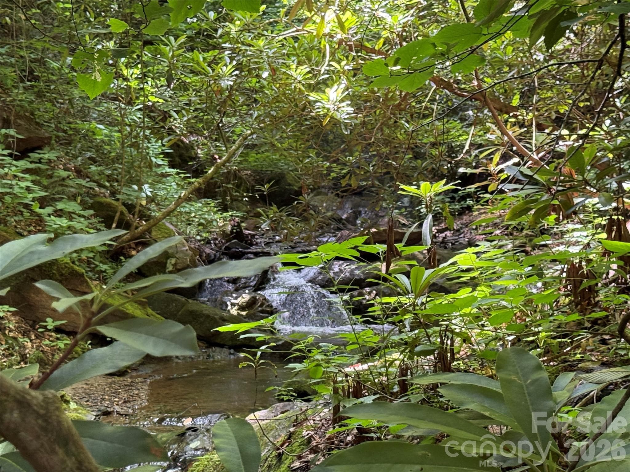 Acreage at Sylva, photo 3 of 23