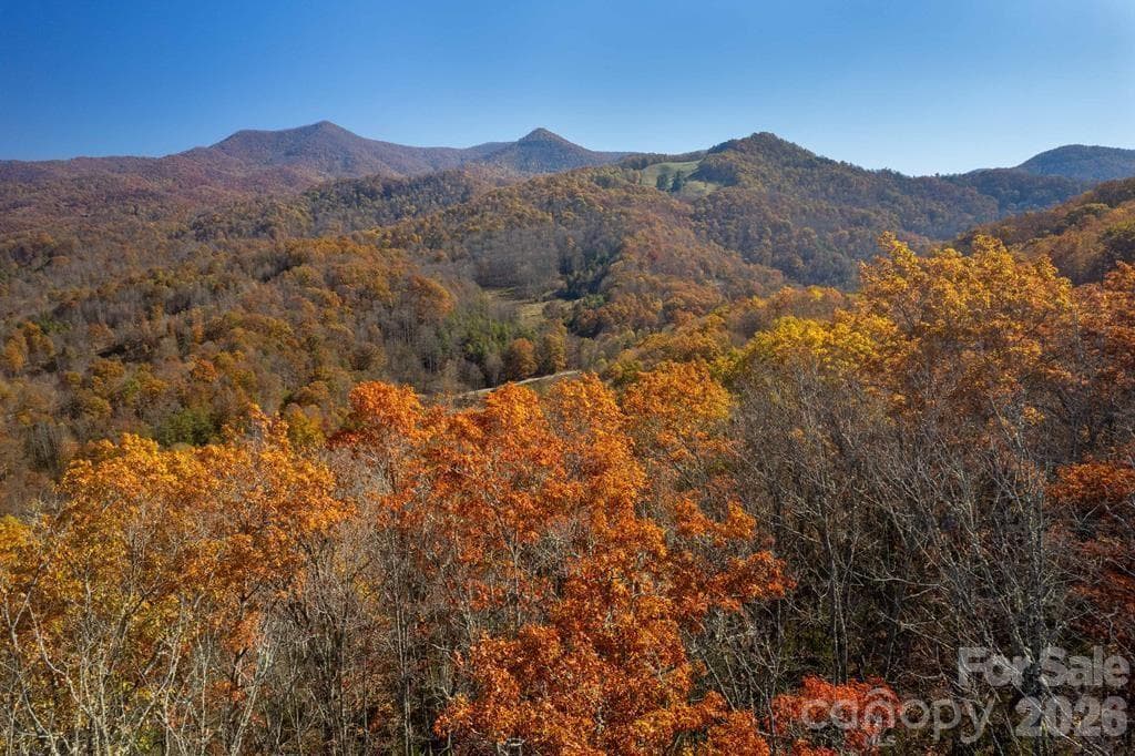Acreage at Sylva, photo 4 of 23