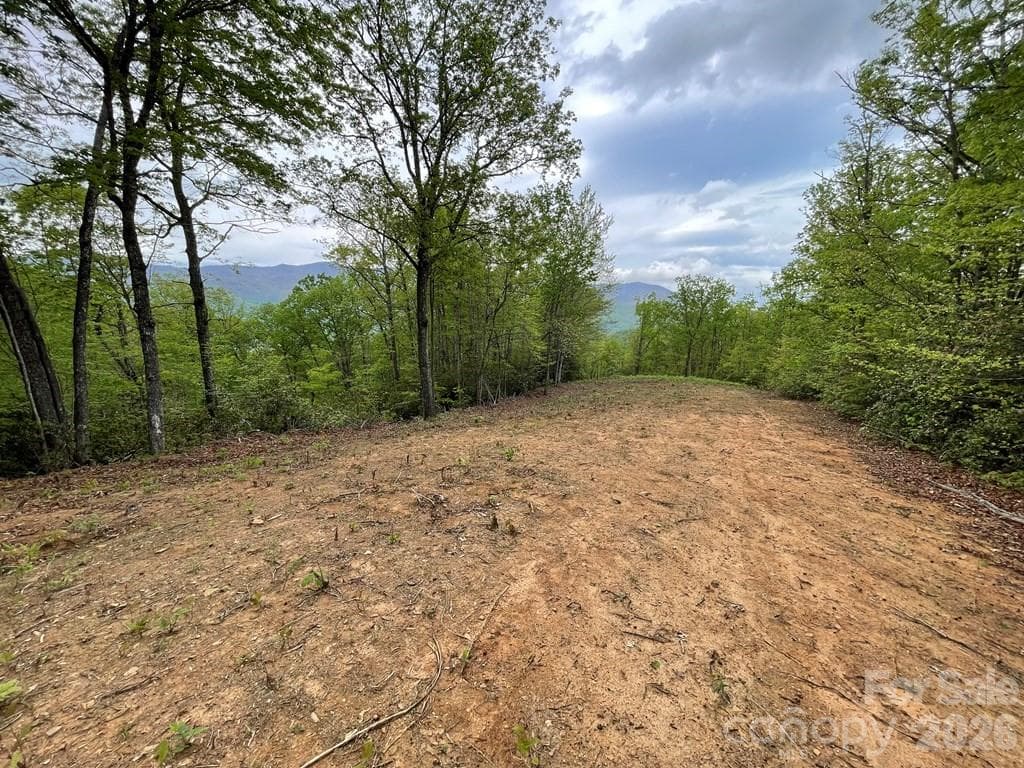 Acreage at Sylva, photo 2 of 23