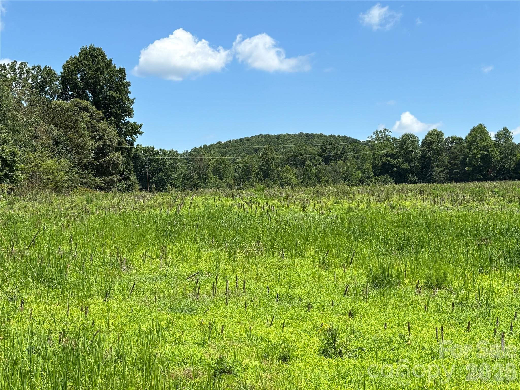 Lot at Statesville, photo 2 of 14
