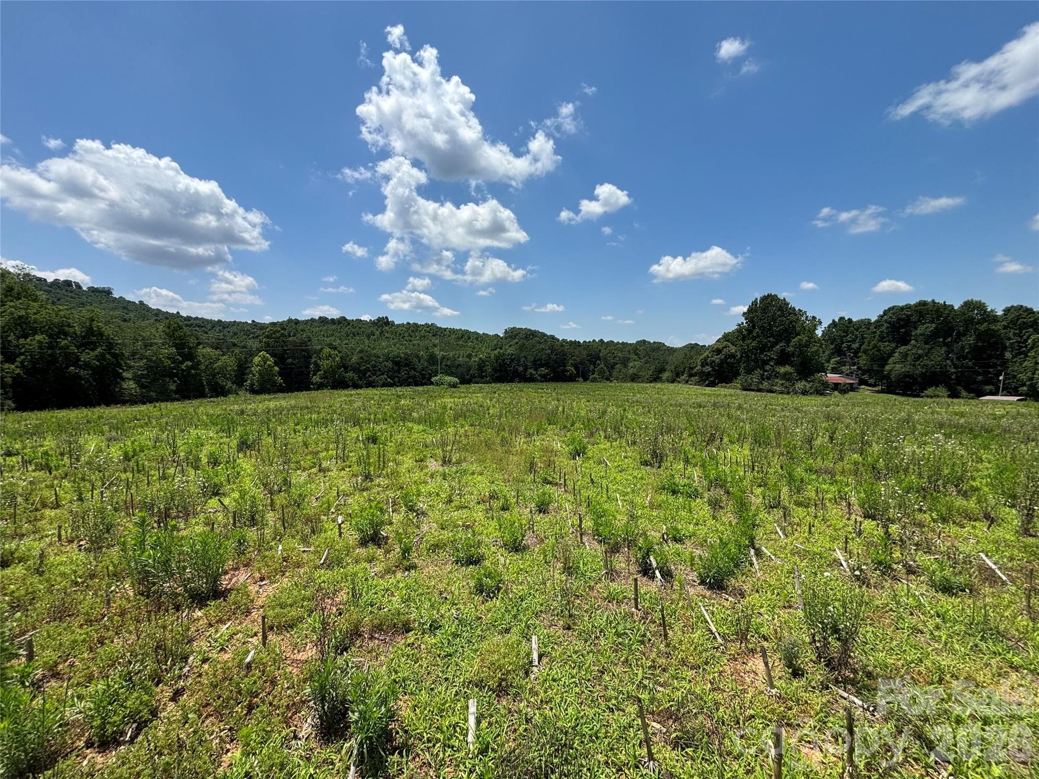 Lot at Statesville, photo 6 of 14