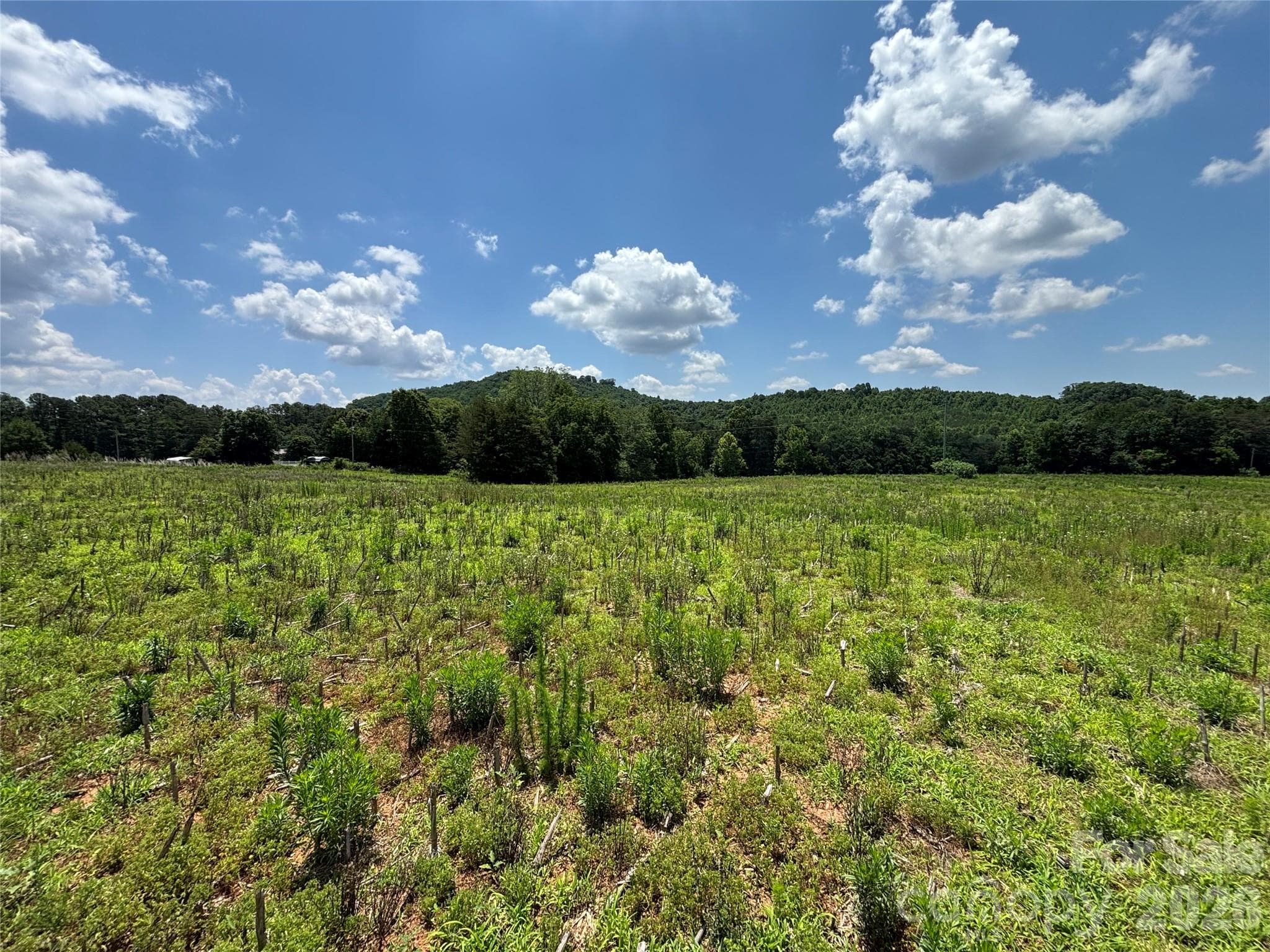 Lot at Statesville, photo 7 of 14