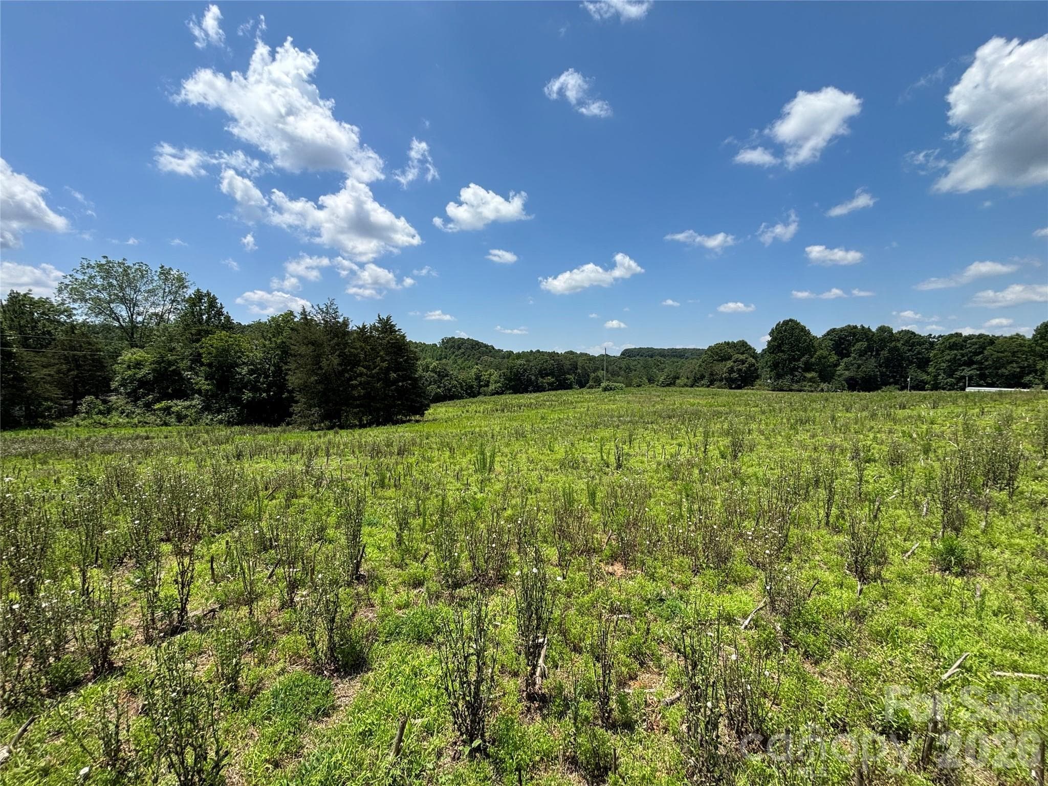 Lot at Statesville, photo 8 of 14