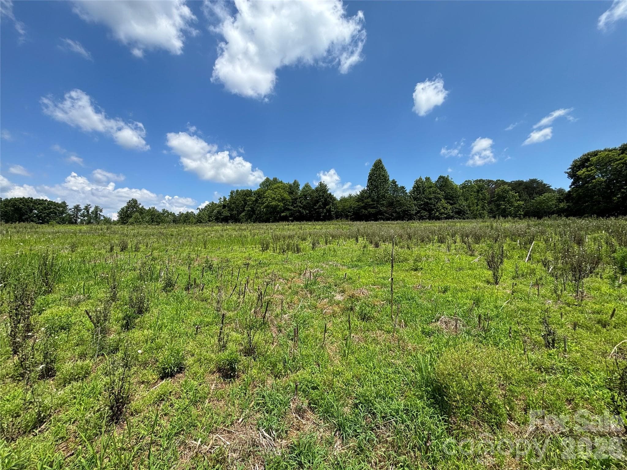 Lot at Statesville, photo 10 of 14