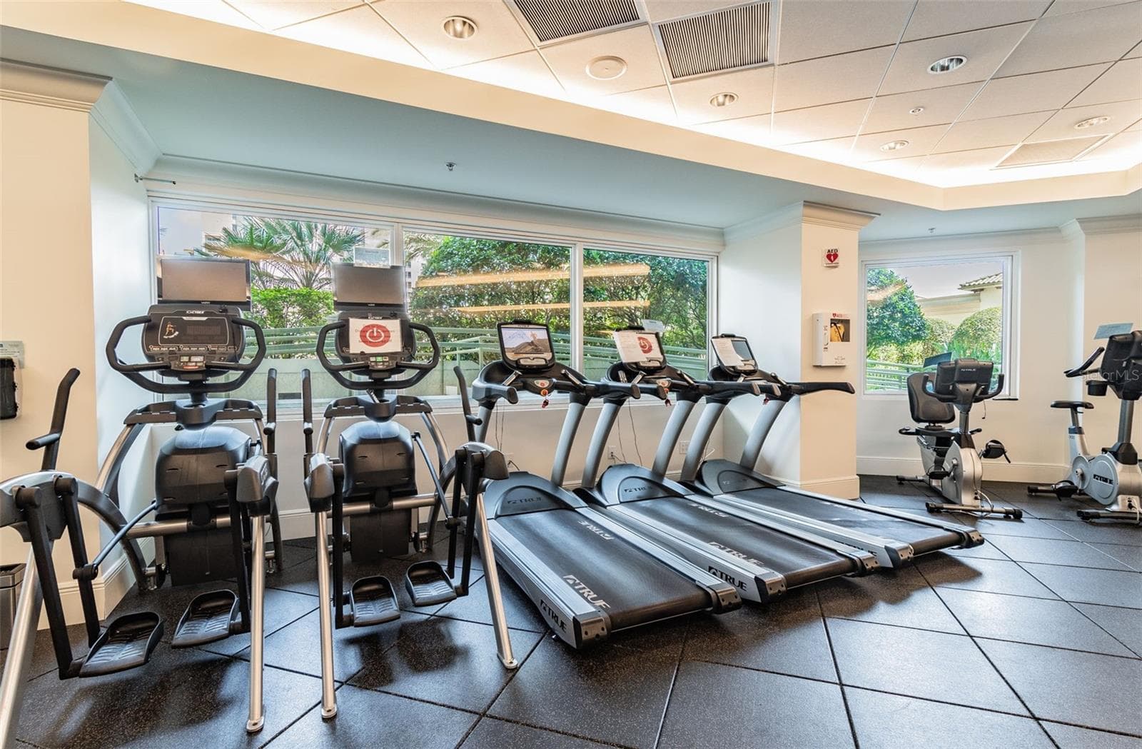 Fully outfitted gym - 450 KNIGHTS RUN AVE #1501, TAMPA