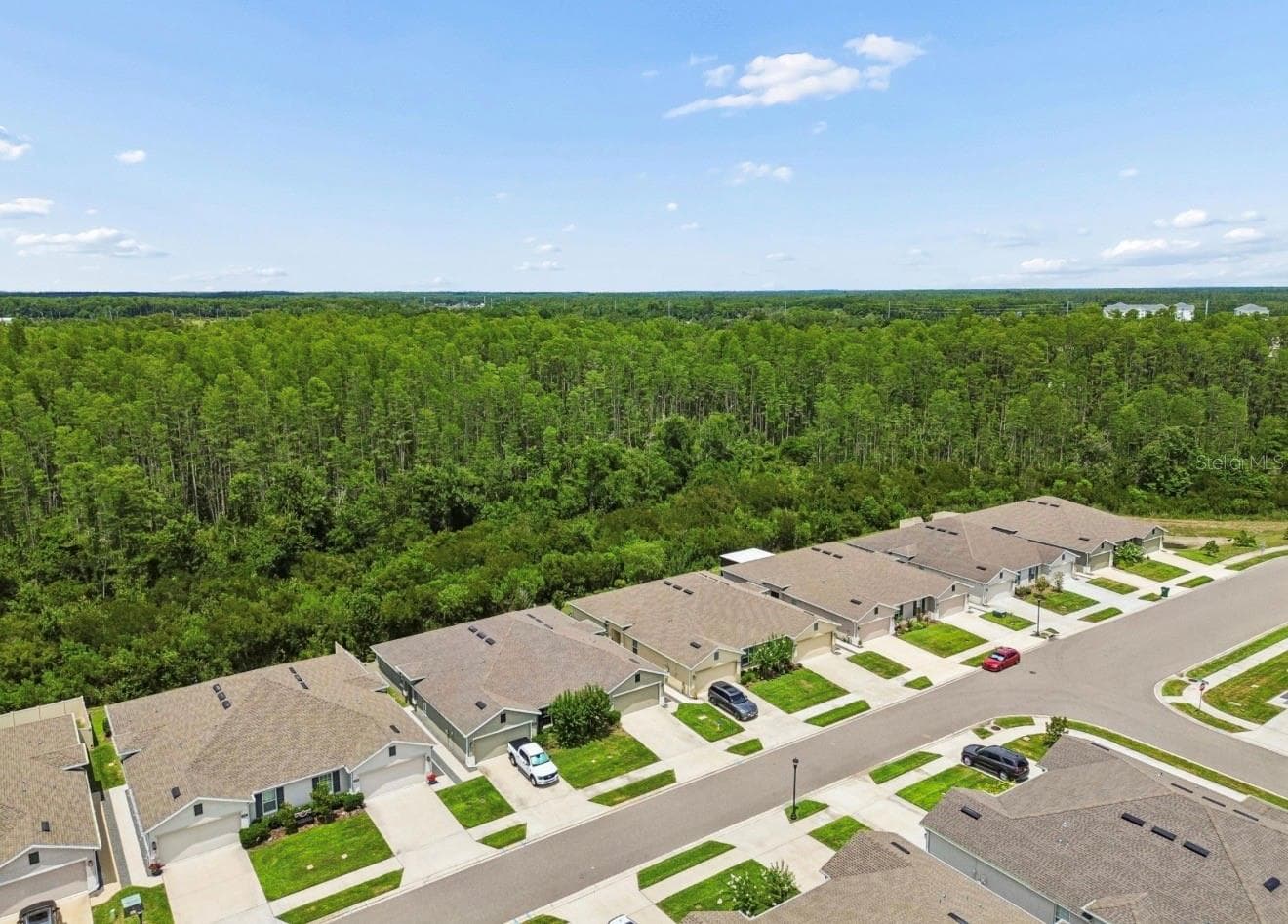 Villa at 18307 TURNING LEAF CIR, LAND O LAKES, photo 40 of 44