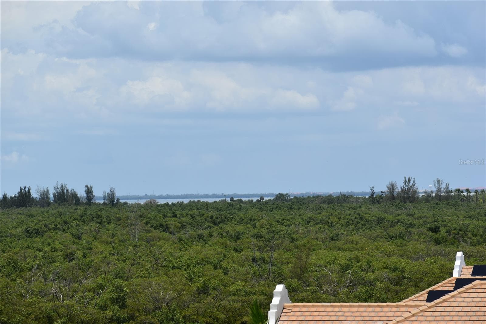 View of Tampa, Skyway and Tampa Bay From Rooftop Deck - 3027 BERMUDA SLOOP CIR, RUSKIN