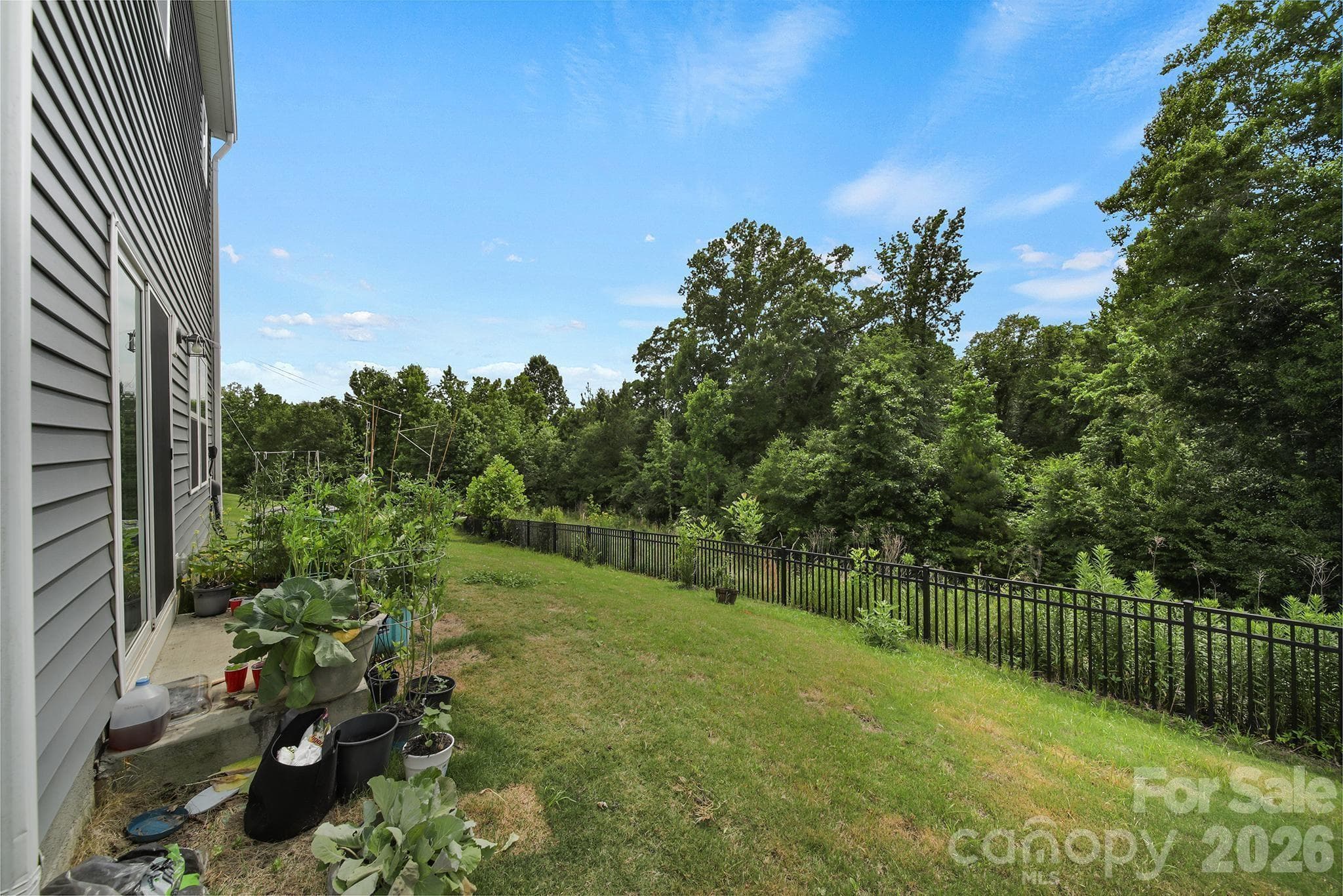 Single Family Residence at 660 Citriadora Street, Fort Mill, photo 28 of 35