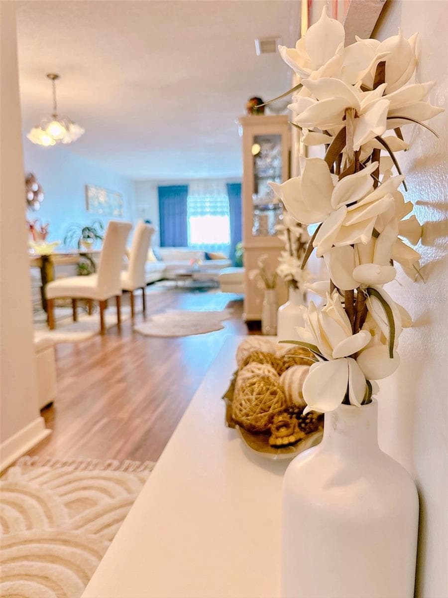 Entry way hall - 5357 81ST ST N #15, ST PETERSBURG