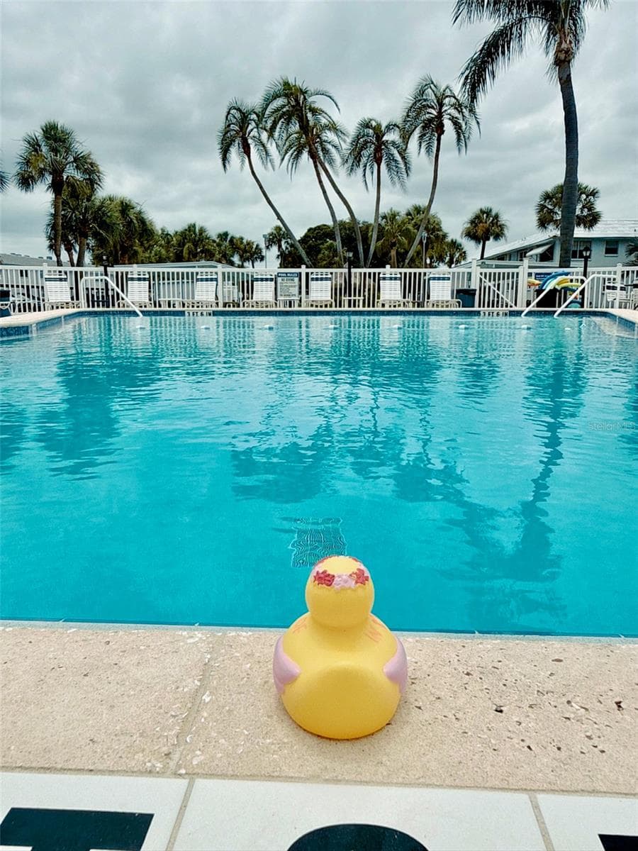 Community pool - 5357 81ST ST N #15, ST PETERSBURG