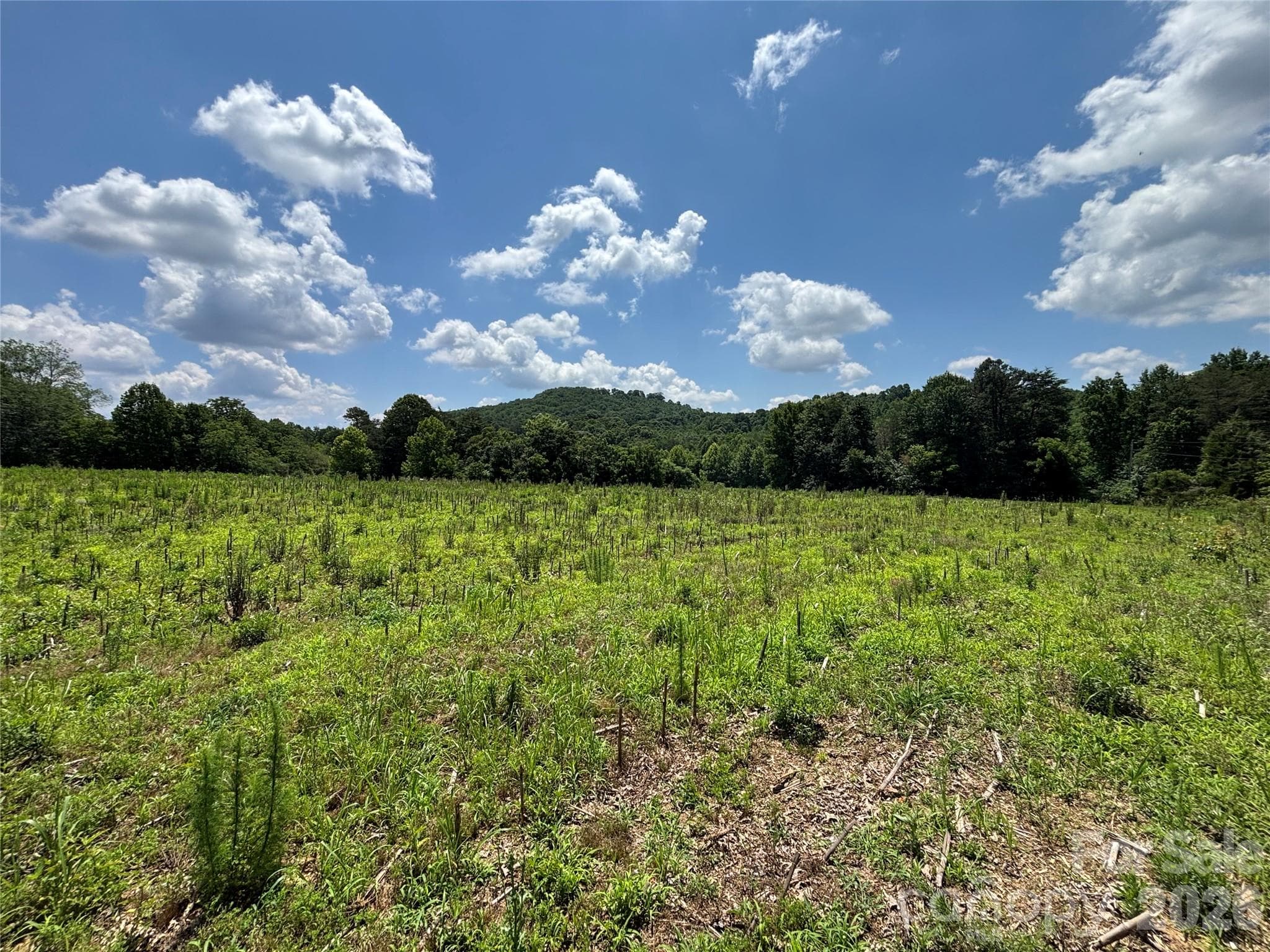 Lot at Statesville, photo 4 of 14