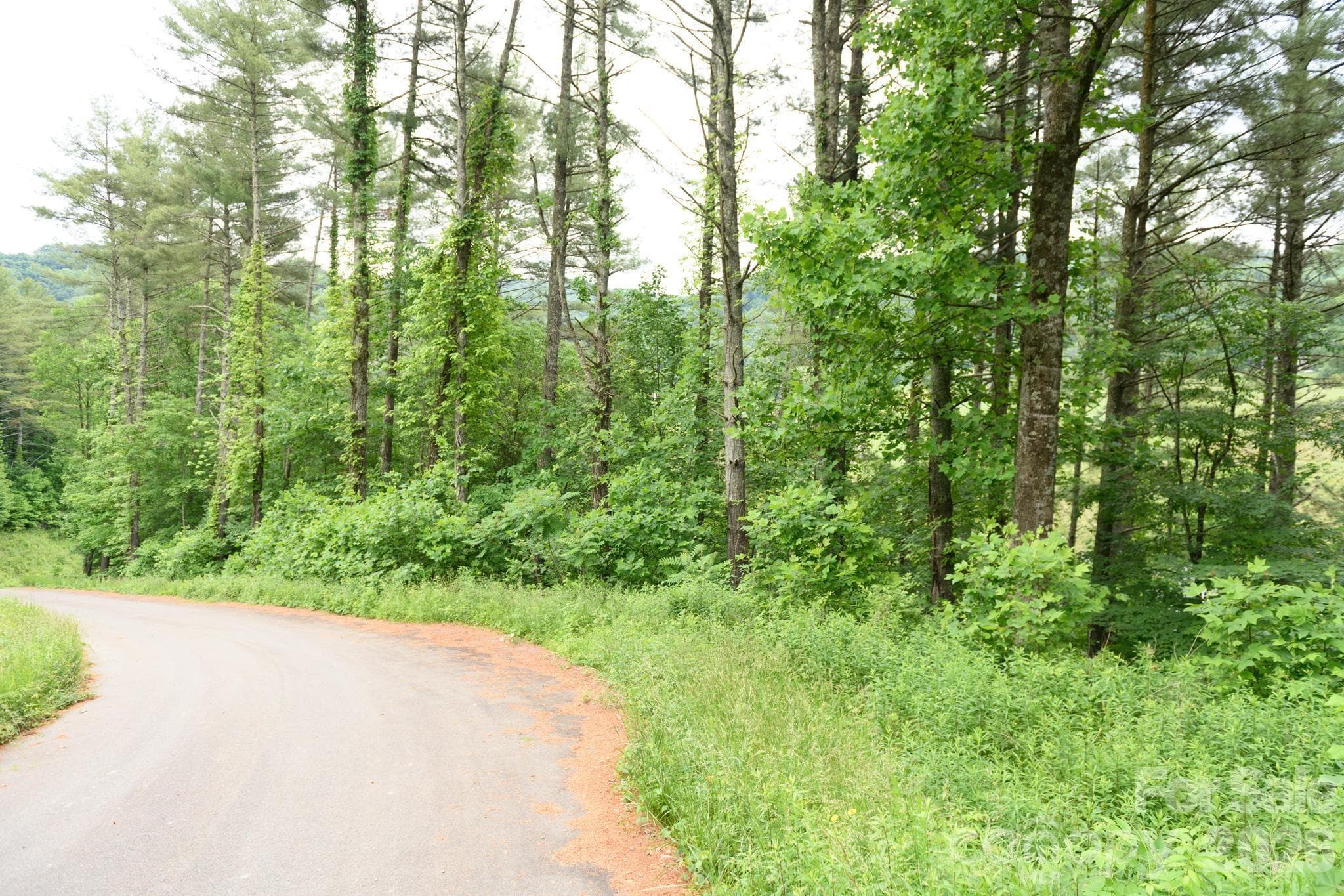 Lot at TBD Sycamore Road, Vilas, photo 12 of 38