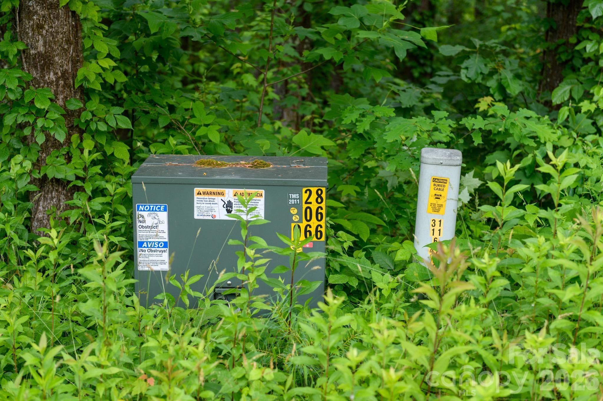 Lot at TBD Sycamore Road, Vilas, photo 13 of 38