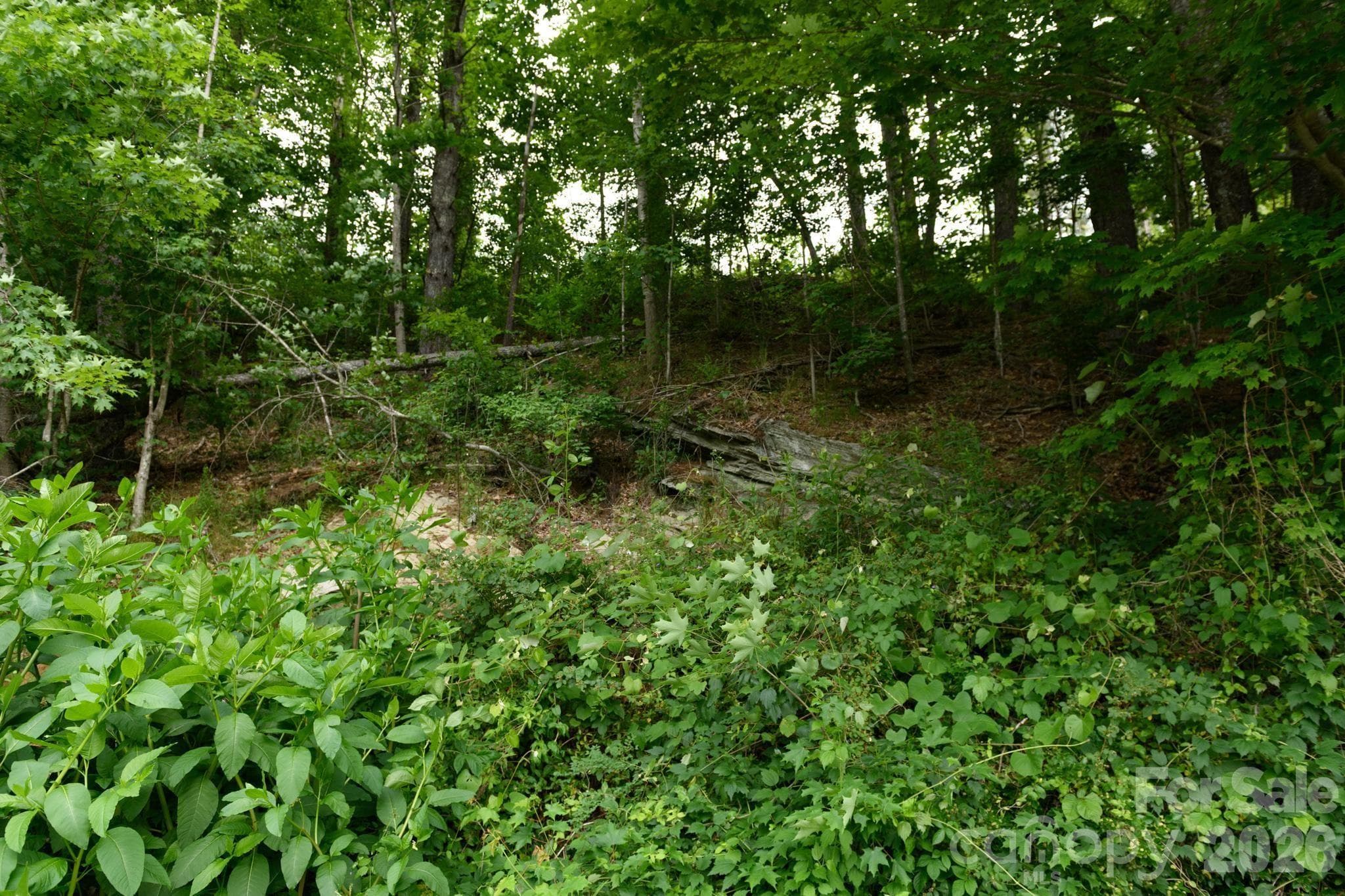 Lot at TBD Sycamore Road, Vilas, photo 15 of 38