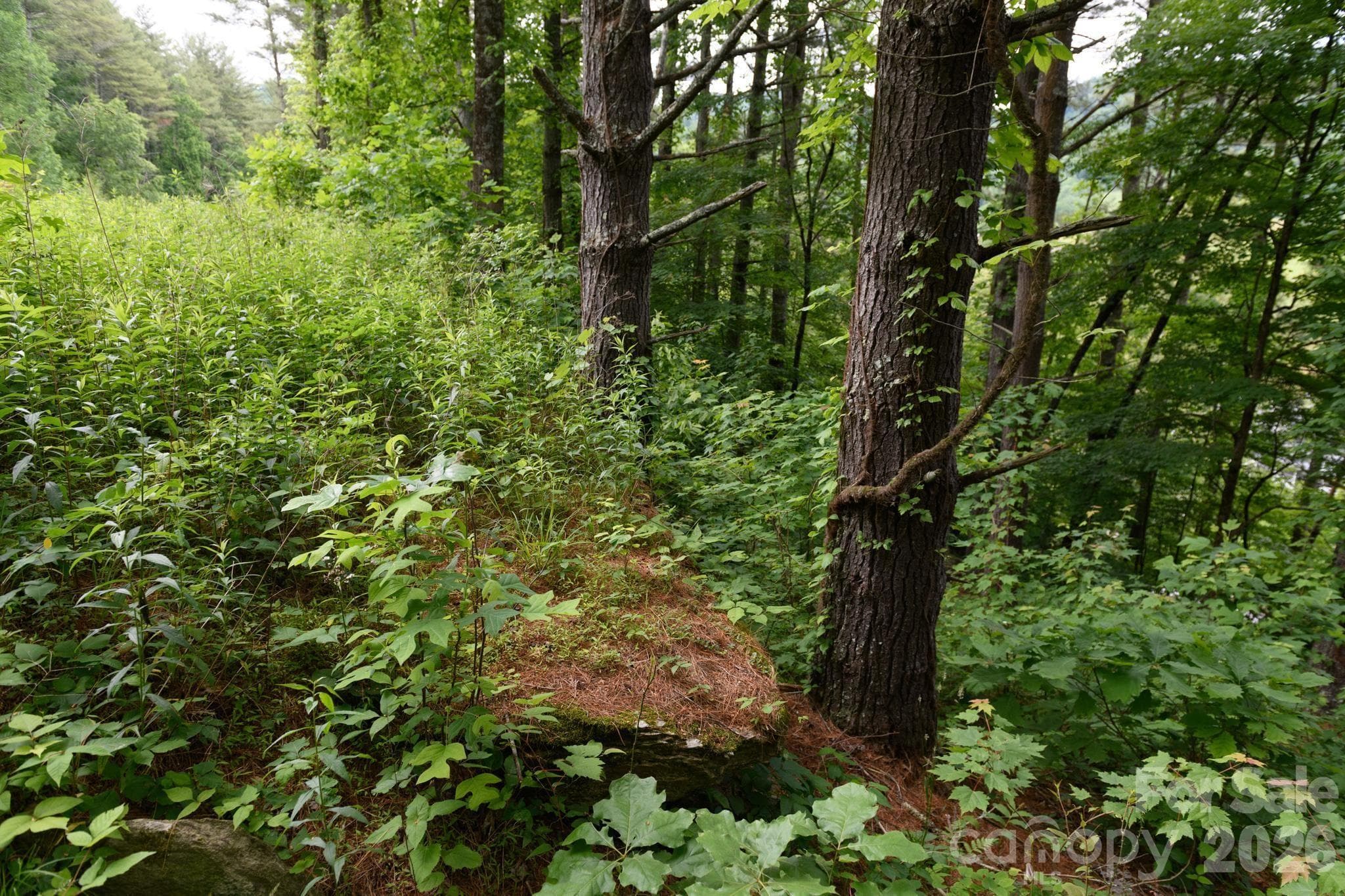Lot at TBD Sycamore Road, Vilas, photo 17 of 38