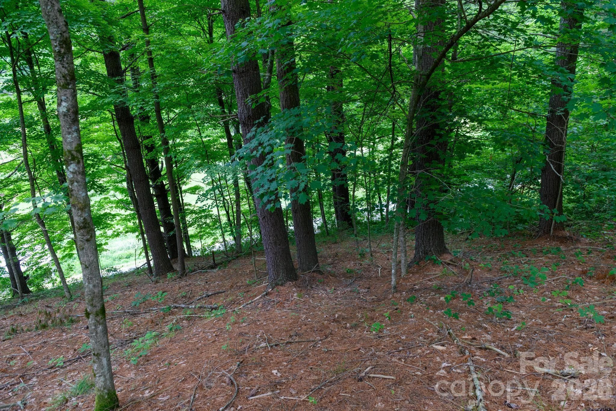 Lot at TBD Sycamore Road, Vilas, photo 27 of 38