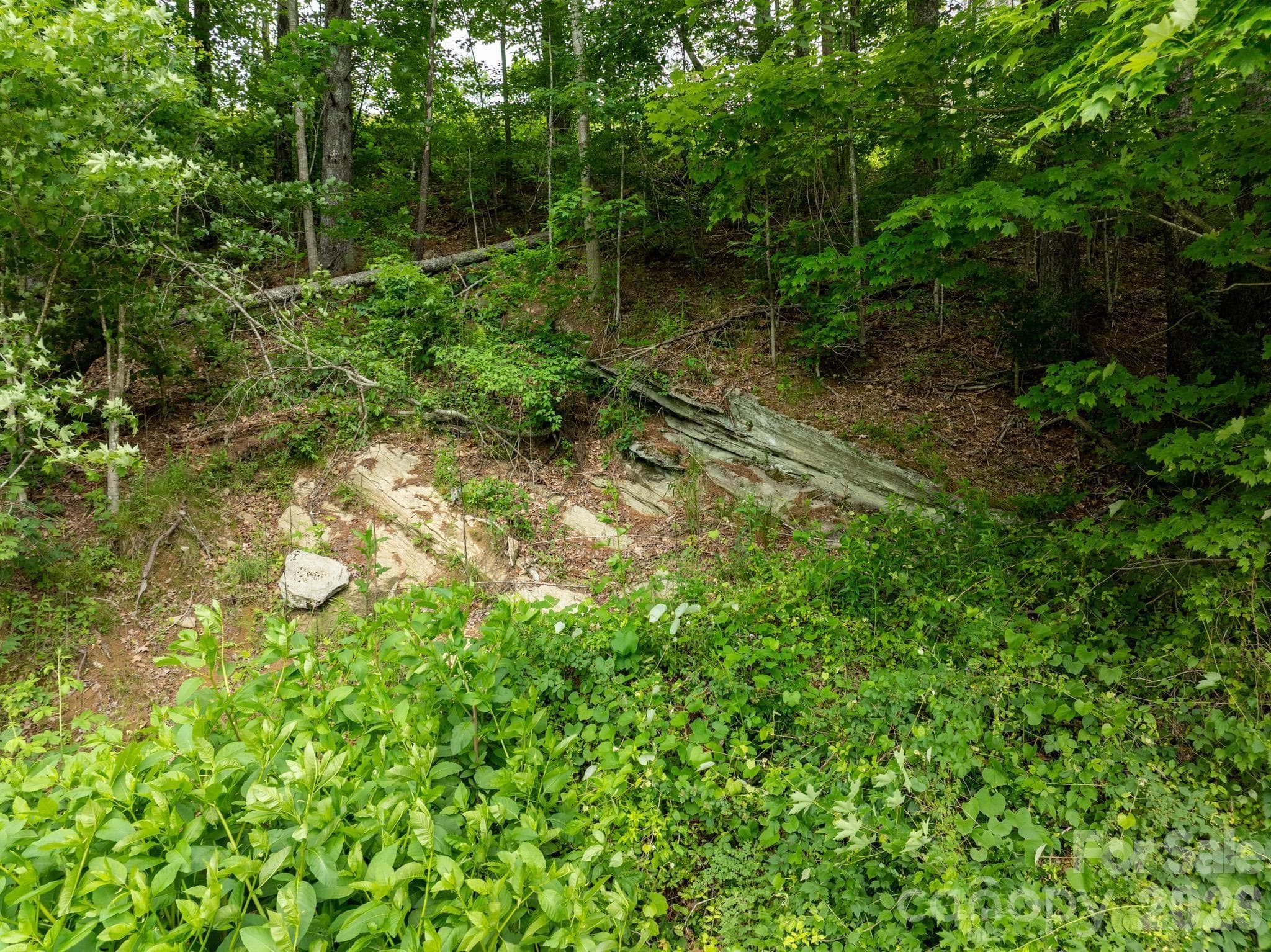 Lot at TBD Sycamore Road, Vilas, photo 36 of 38