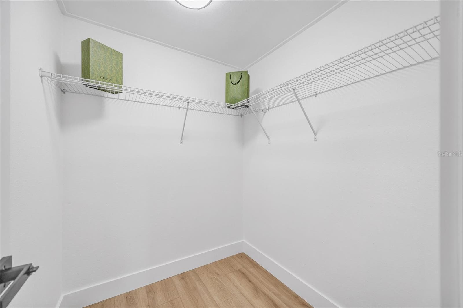 Primary Closet - 22369 SOUTHSHORE DR, LAND O LAKES