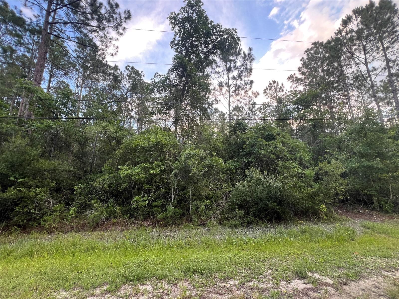 Land at 1411 ELDER ST, BUNNELL, photo 2 of 10