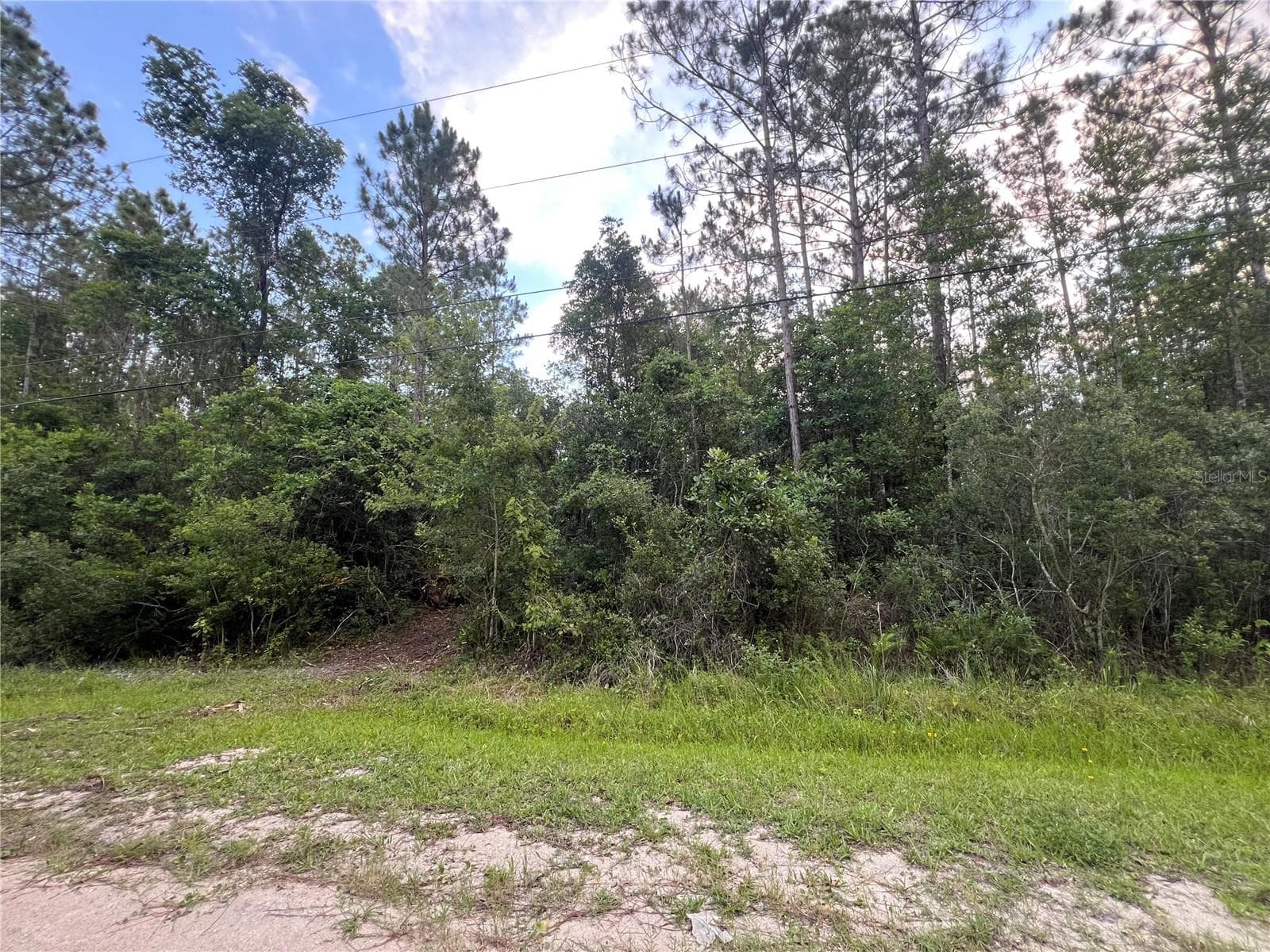 Land at 1411 ELDER ST, BUNNELL, photo 4 of 10