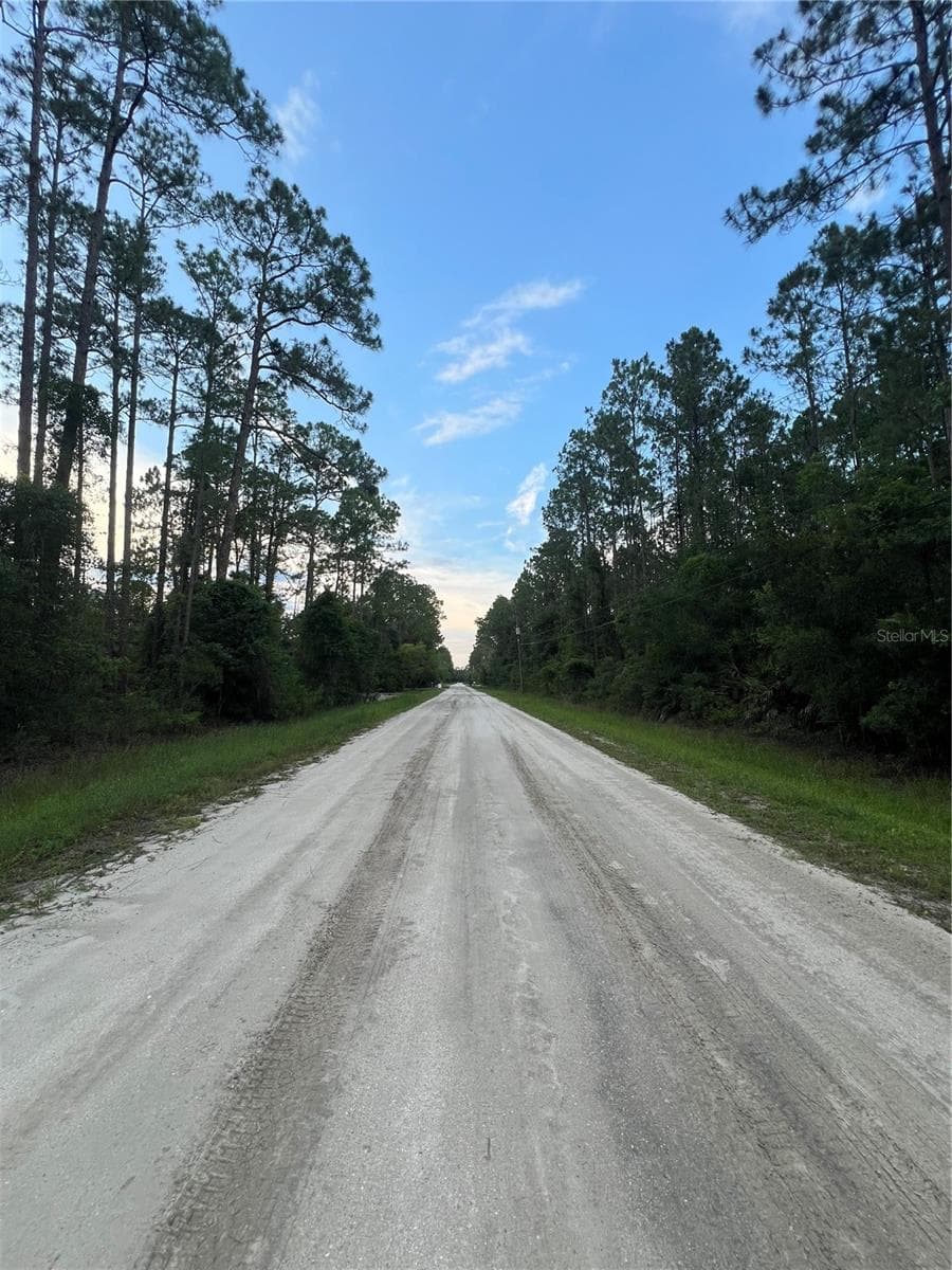 Land at 1411 ELDER ST, BUNNELL, photo 5 of 10